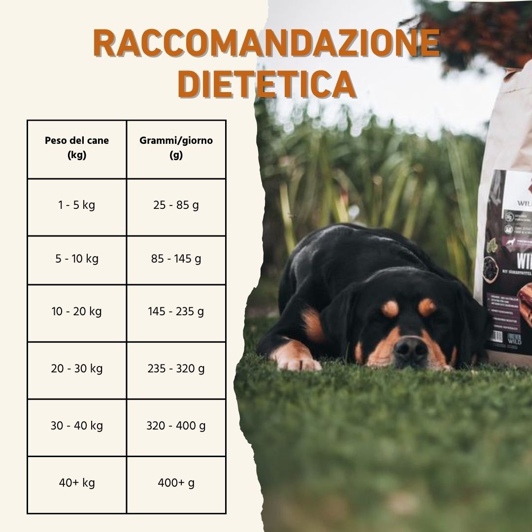 Tabella delle raccomandazioni alimentari per cani. Un cane è sdraiato sull'erba. Testo: RAKKOMANDAZIONE DIETETICA.