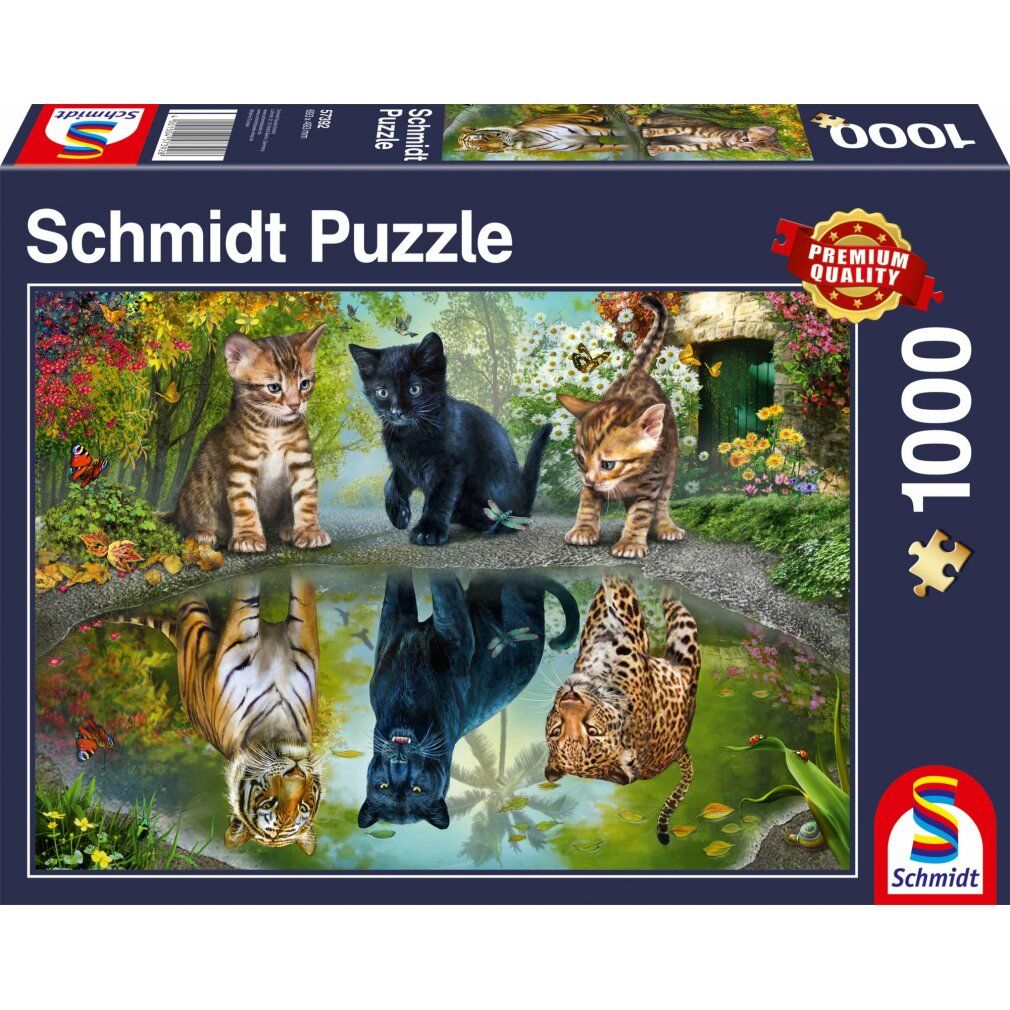 schmidt Puzzle Dream Big 1000 pezzi