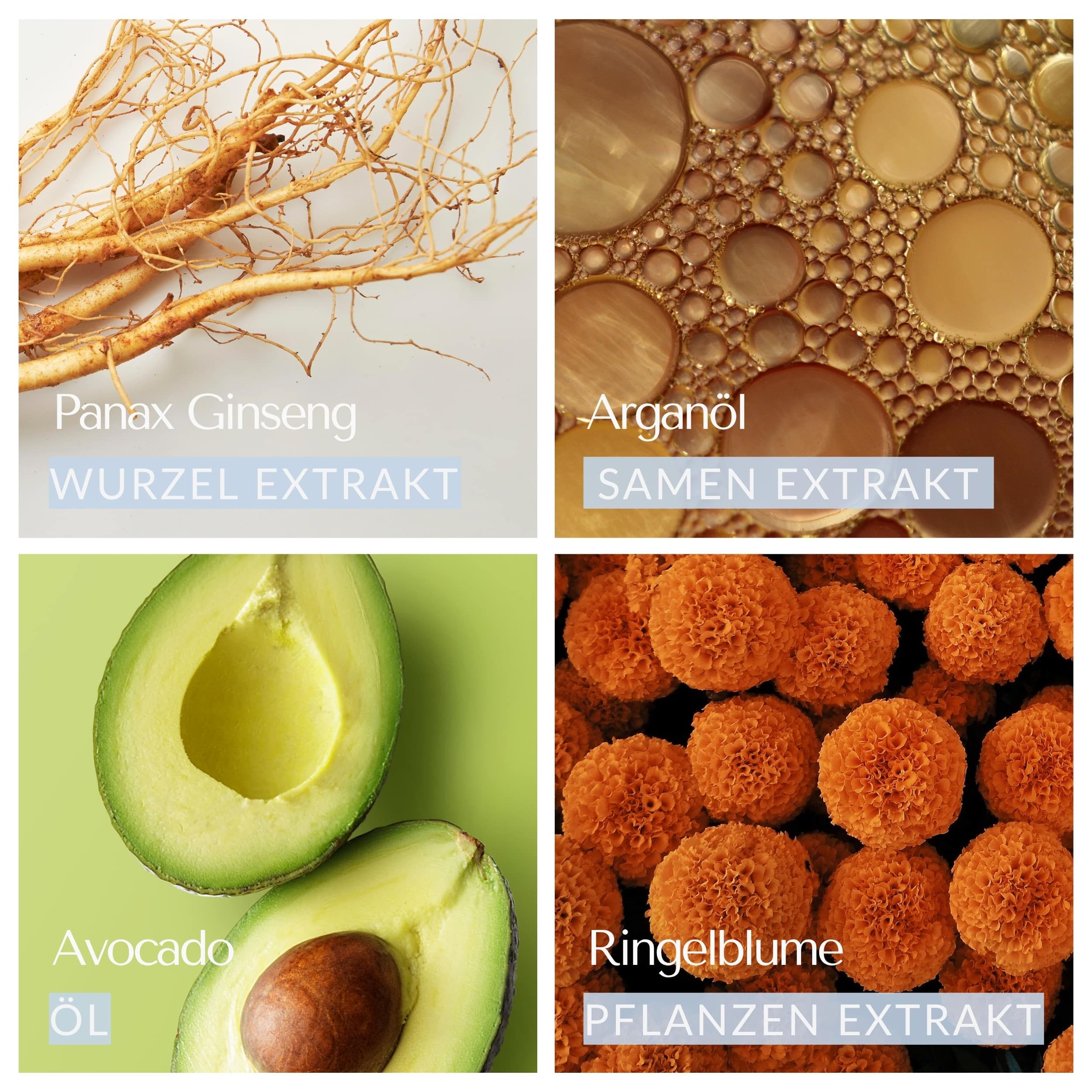 Quattro immagini: Panax Ginseng, Olio di Argan, Avocado, Calendula. Didascalie con nomi ed estratti.