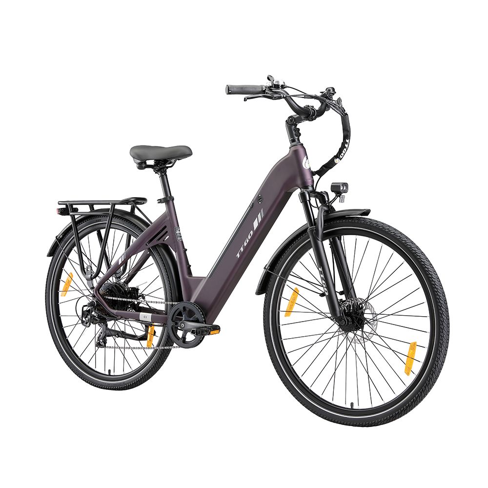 Bicicletta elettrica viola scuro con portapacchi, parafanghi e luci. Pneumatici e sella neri. Logo TTGO.