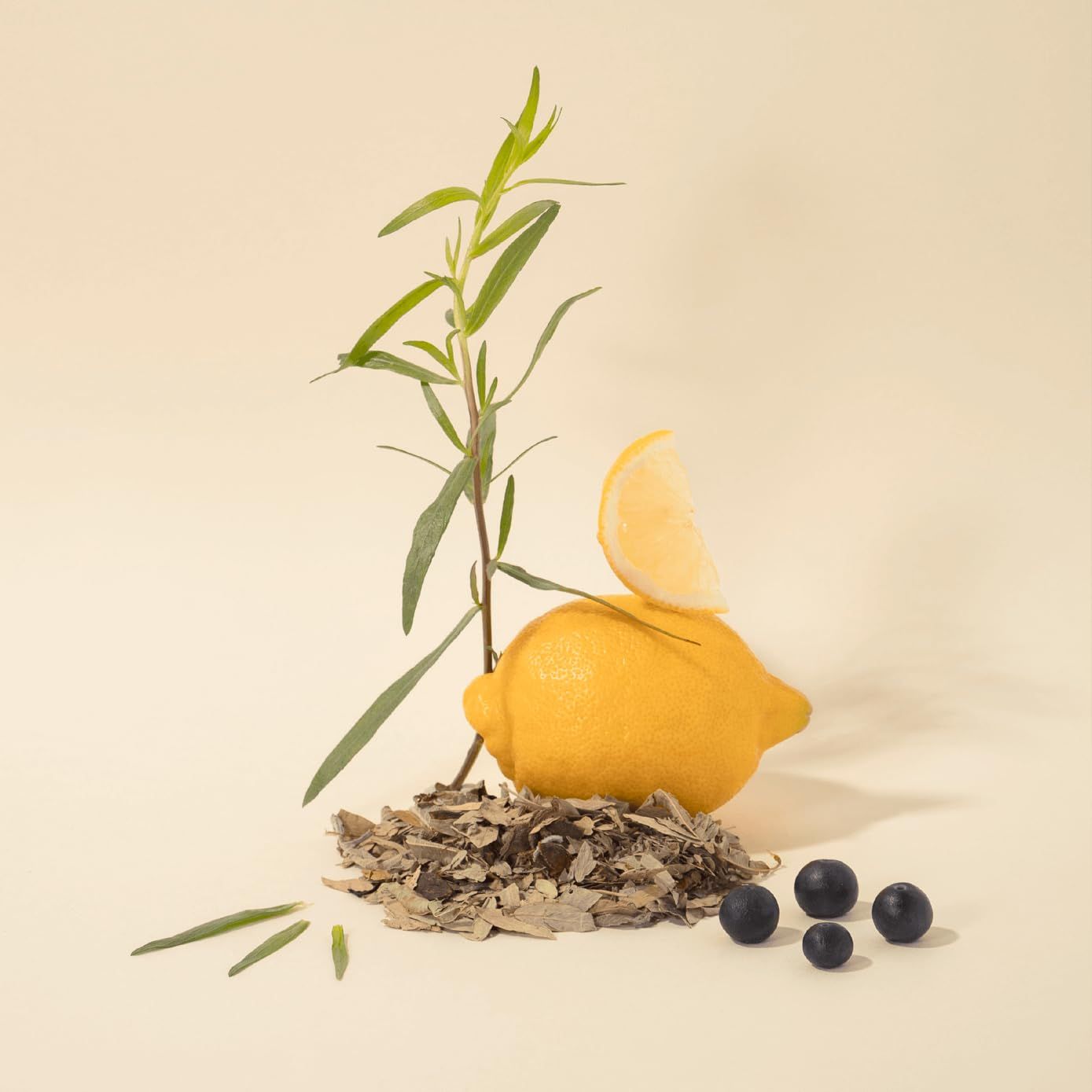 Limone, mirtilli, erbe su un mucchio. Sfondo giallo.