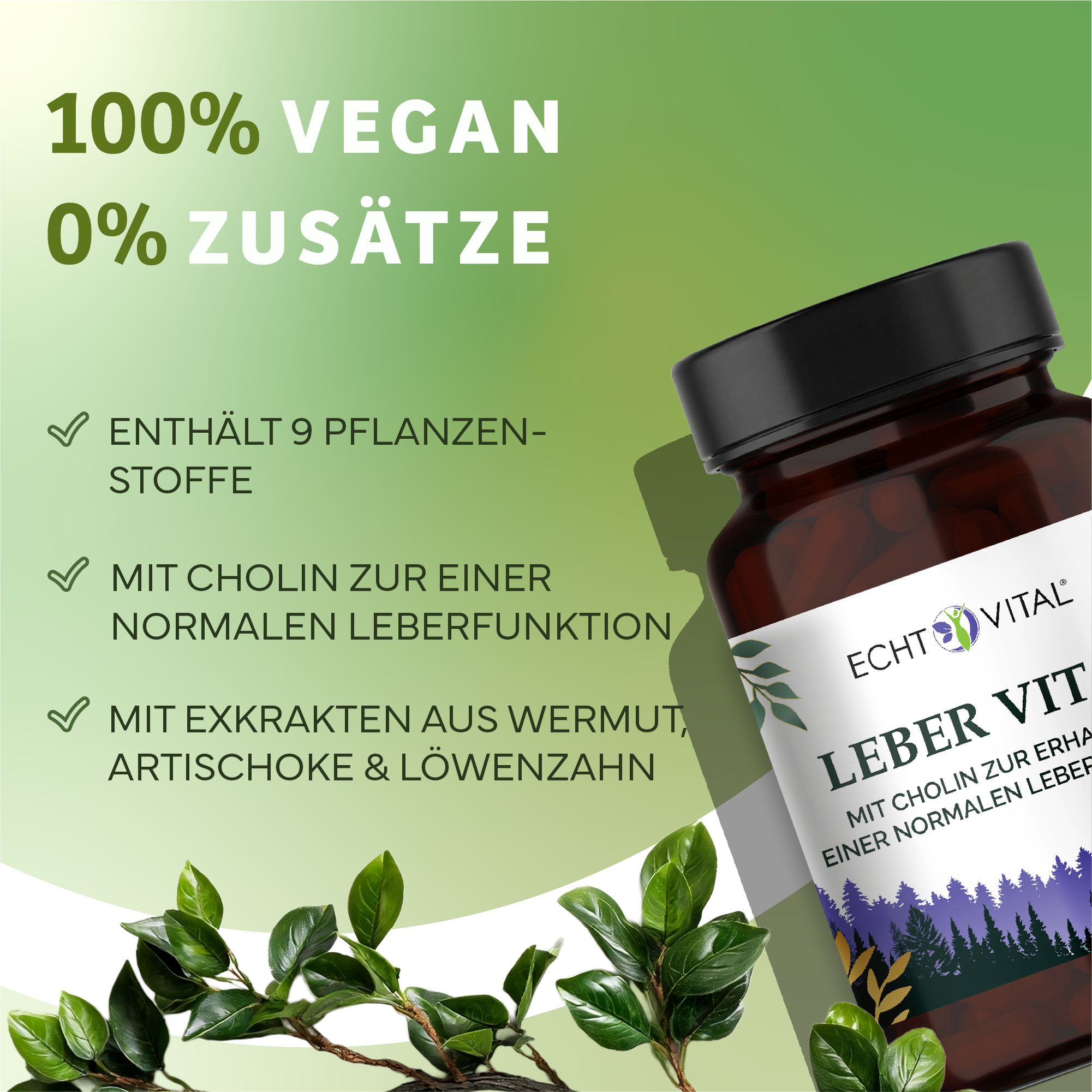 Echt Vital Leber Vital: 100% vegan, 0% additivi, con colina per una normale funzione epatica.
