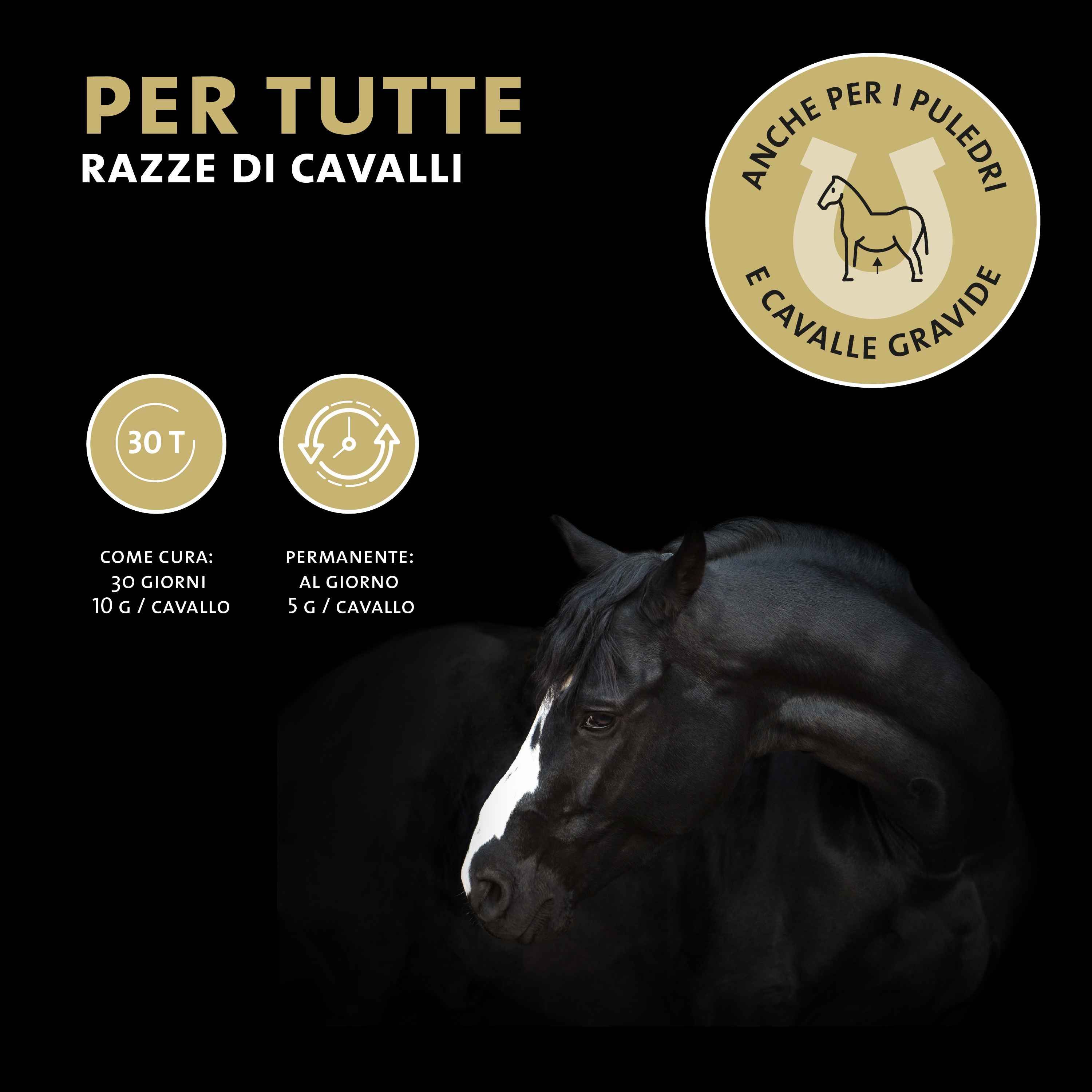 Immagine di cavallo con testo su dosaggio e durata applicazione.