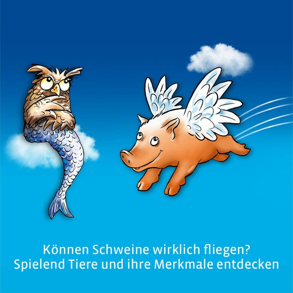 kosmos can Pigs Fly? Gioco da tavolo (edizione annuale)