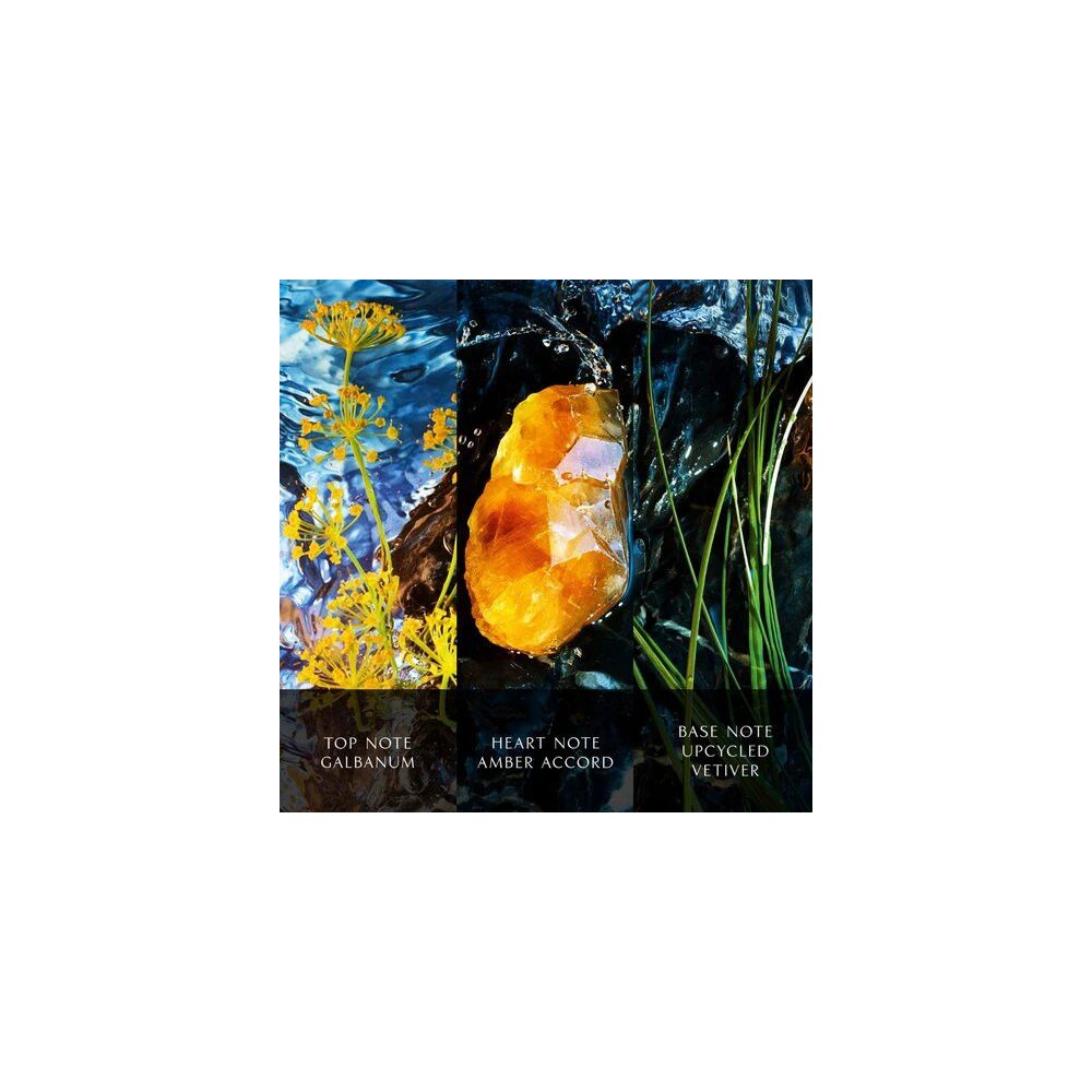 Tre elementi: fiori gialli, ambra, erba. Scritta: Top Note Galbanum, Heart Note Amber Accord, Base Note Upcycled Vetiver.