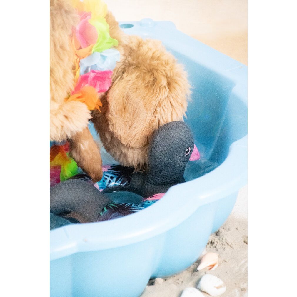 CoolPets Ring o'Ducky (fiore)