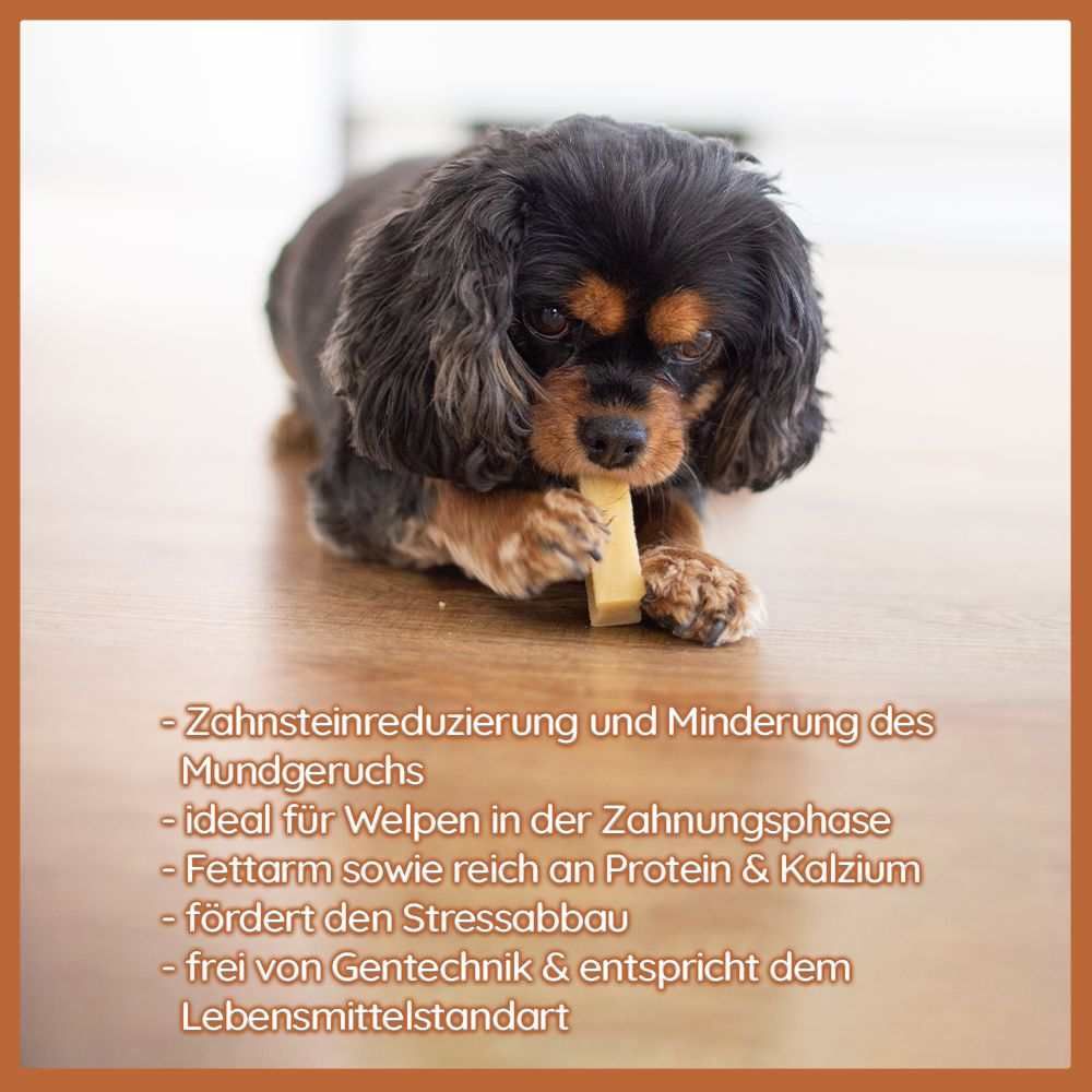 Cane che mastica un bastoncino di formaggio. Testo: Riduzione del tartaro, ideale per cuccioli, a basso contenuto di grassi, ricco di proteine e calcio, riduce lo stress.