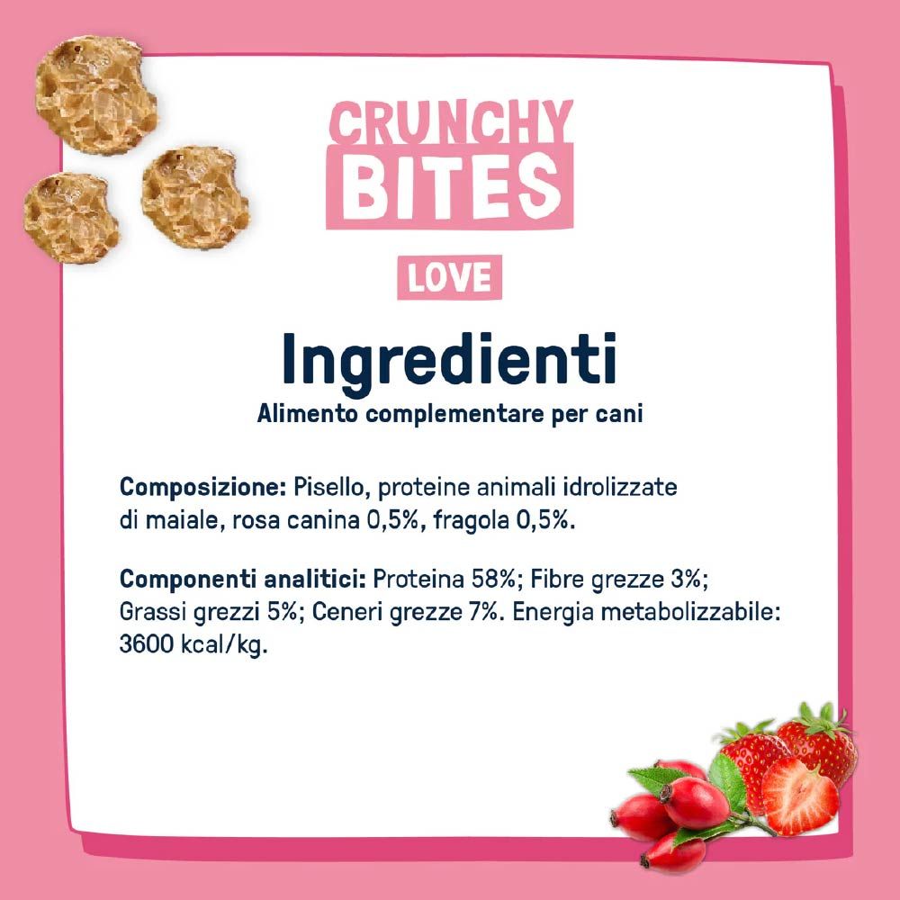 Scheda bianca con testo e lista ingredienti per snack per cani. Immagini di snack, rosa canina e fragole.