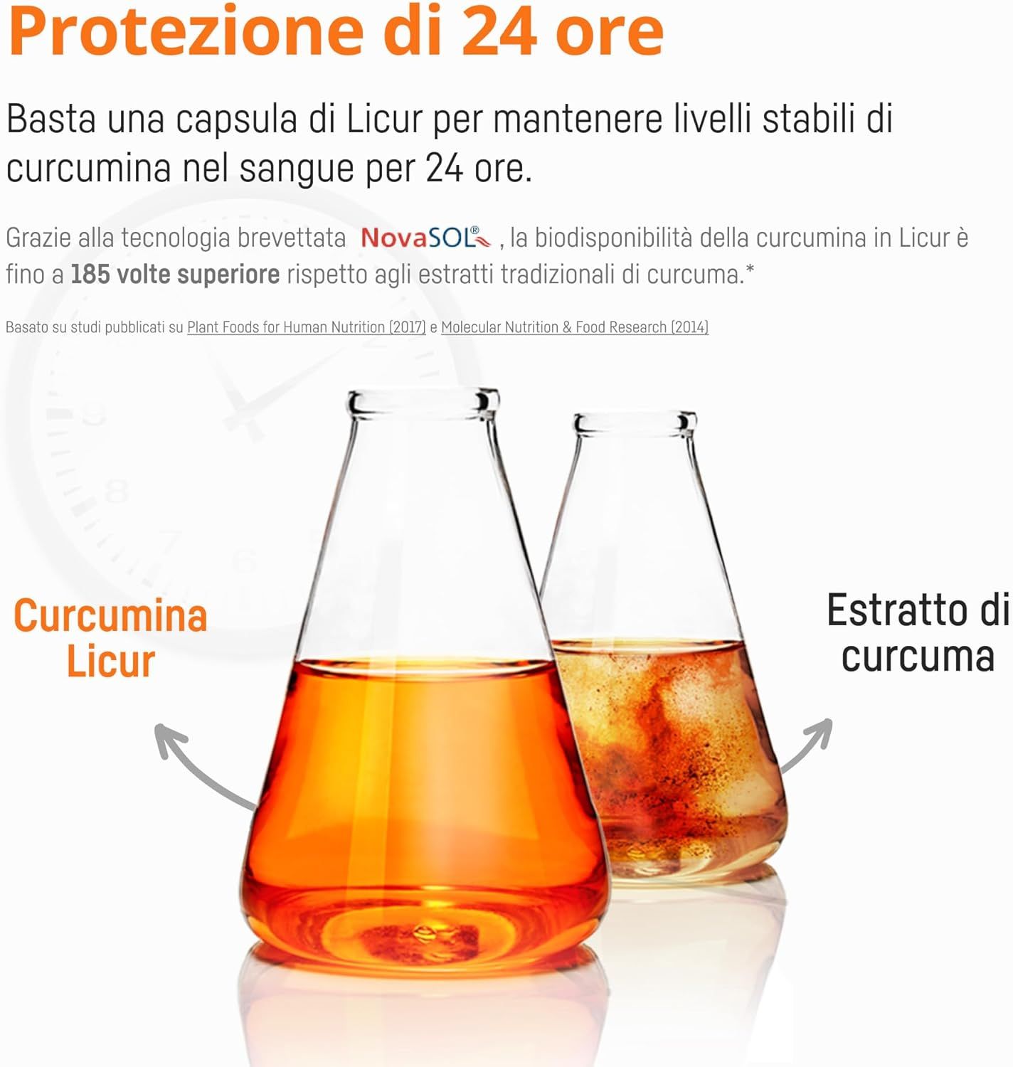 Bio Medical Pharma Capsule di Curcuma Licur 7000