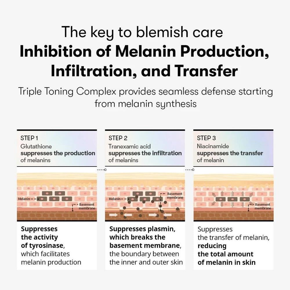 Schema di inibizione della produzione, infiltrazione e trasferimento della melanina.
