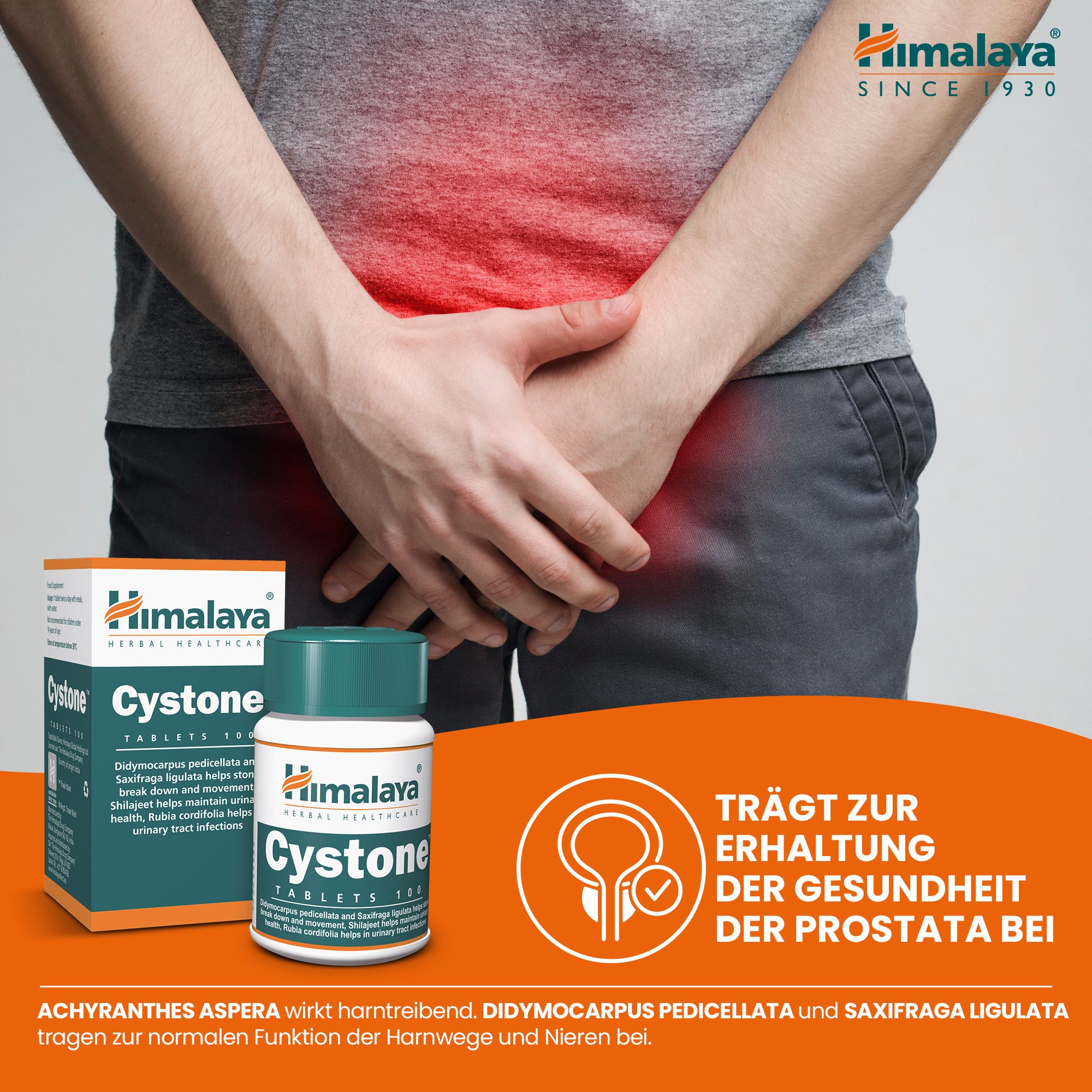 Uomo con disagio pelvico accanto a Cystone Himalaya e simbolo di salute della prostata.