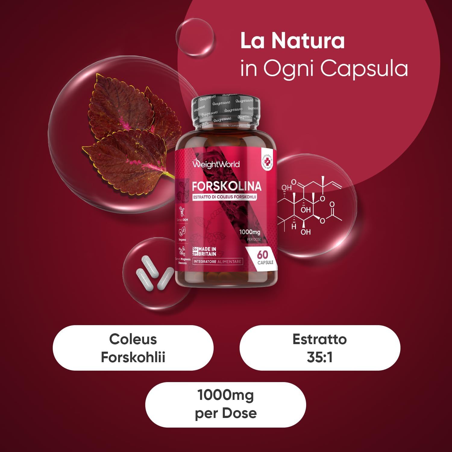 Flacone di capsule WeightWorld Forskolin. Testo: Coleus Forskohlii, estratto 35:1, 1000mg per dose. Struttura chimica.