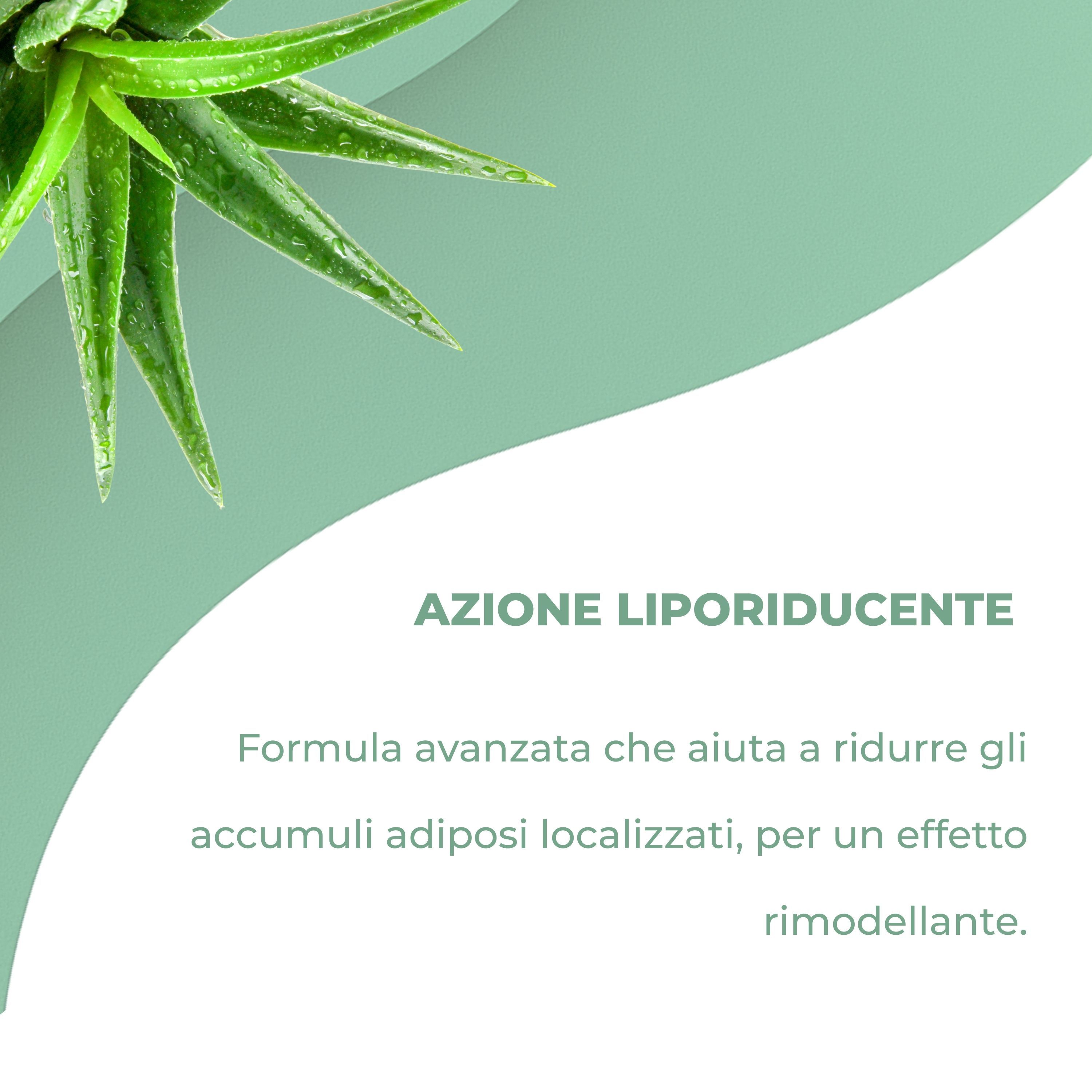 Aloha Labs AdipoZero Crema Corpo – Trattamento Rimodellante e Snellente Intensivo