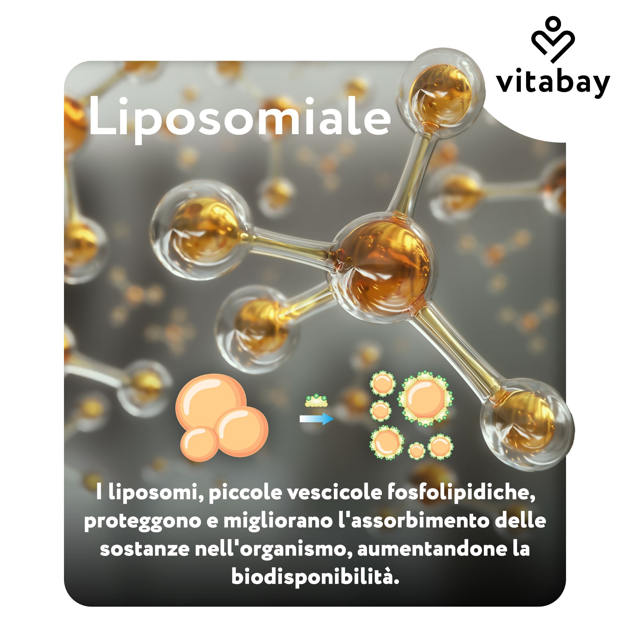 Struttura liposomiale, sfere dorate, logo Vitabay. Testo: Liposomiale.
