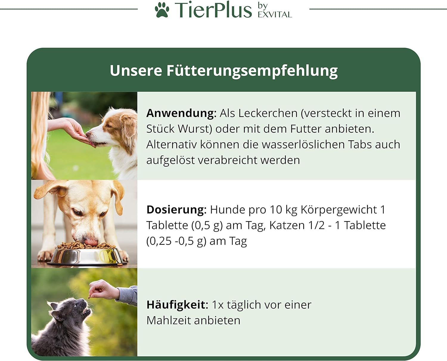 Raccomandazioni per l'alimentazione di EXVital Vitamina B Complesso. Cani e gatti. Uso, dosaggio e frequenza.