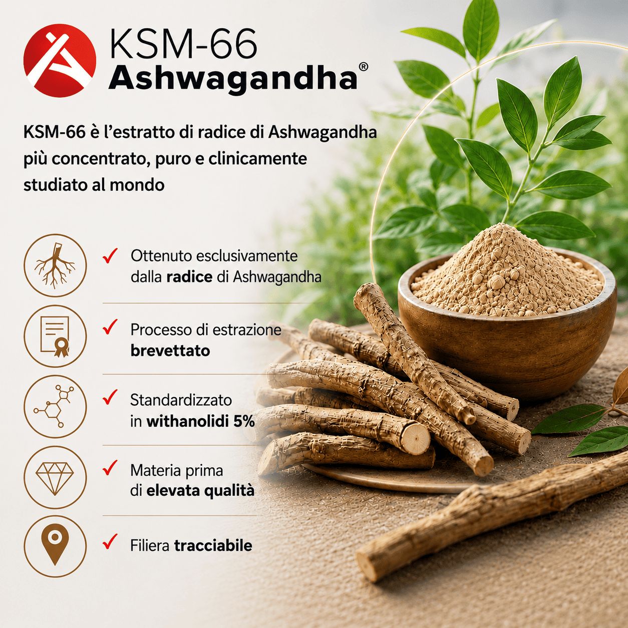 Radici, polvere e capsule di Ashwagandha KSM-66. Certificato bio, processo di estrazione brevettato.