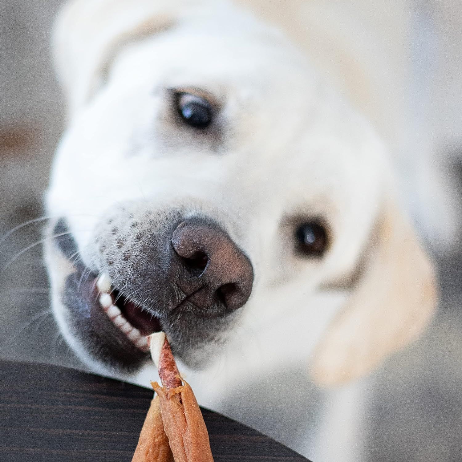 8in1 Triple Flavour Ribs Bastoncini da Masticare per Cani