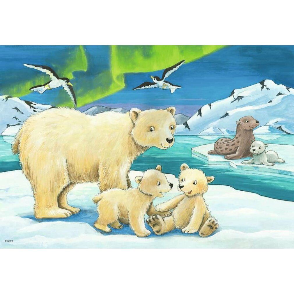 Puzzle con orsi polari e foche in un paesaggio invernale. Famiglia di orsi polari. Sfondo con aurora boreale.