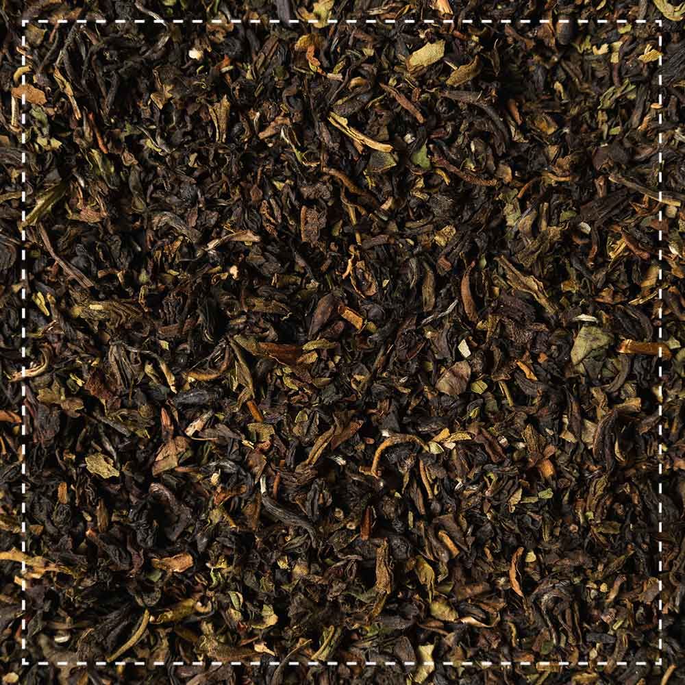 Primo piano di tè nero sfuso. Foglie di tè essiccate marrone scuro con componenti verdi. Ritaglio quadrato.