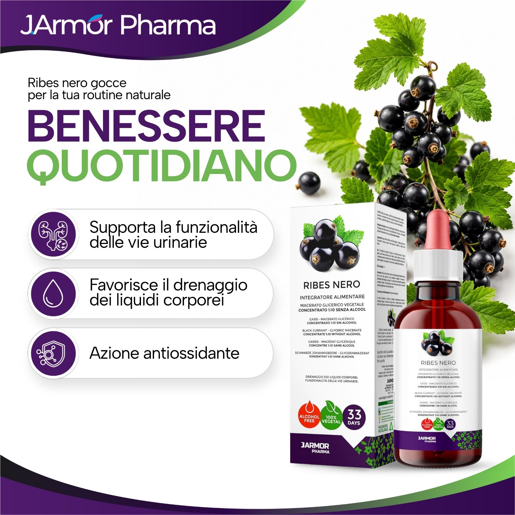 Flacone e scatola di gocce di ribes nero, con bacche e foglie.