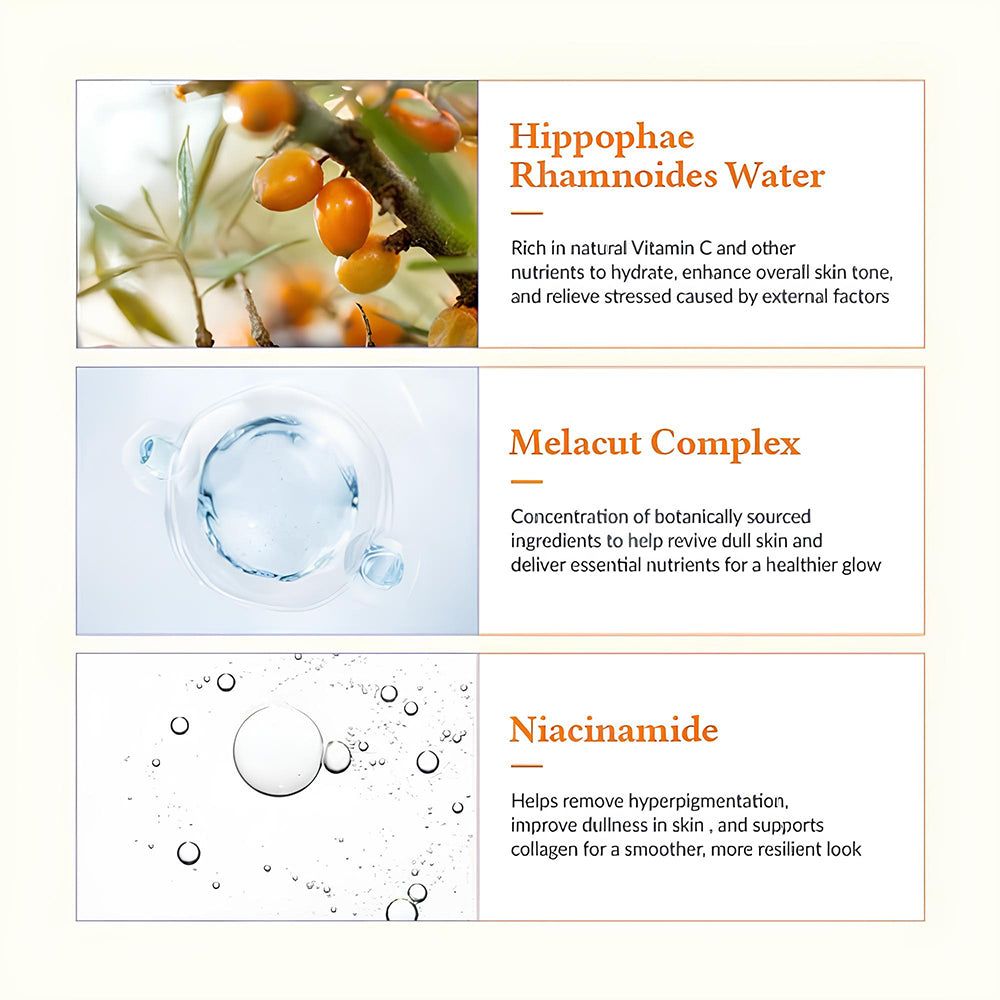 Tre blocchi di testo con ingredienti: acqua di olivello spinoso, Melacut Complex e Niacinamide. Descrizioni.