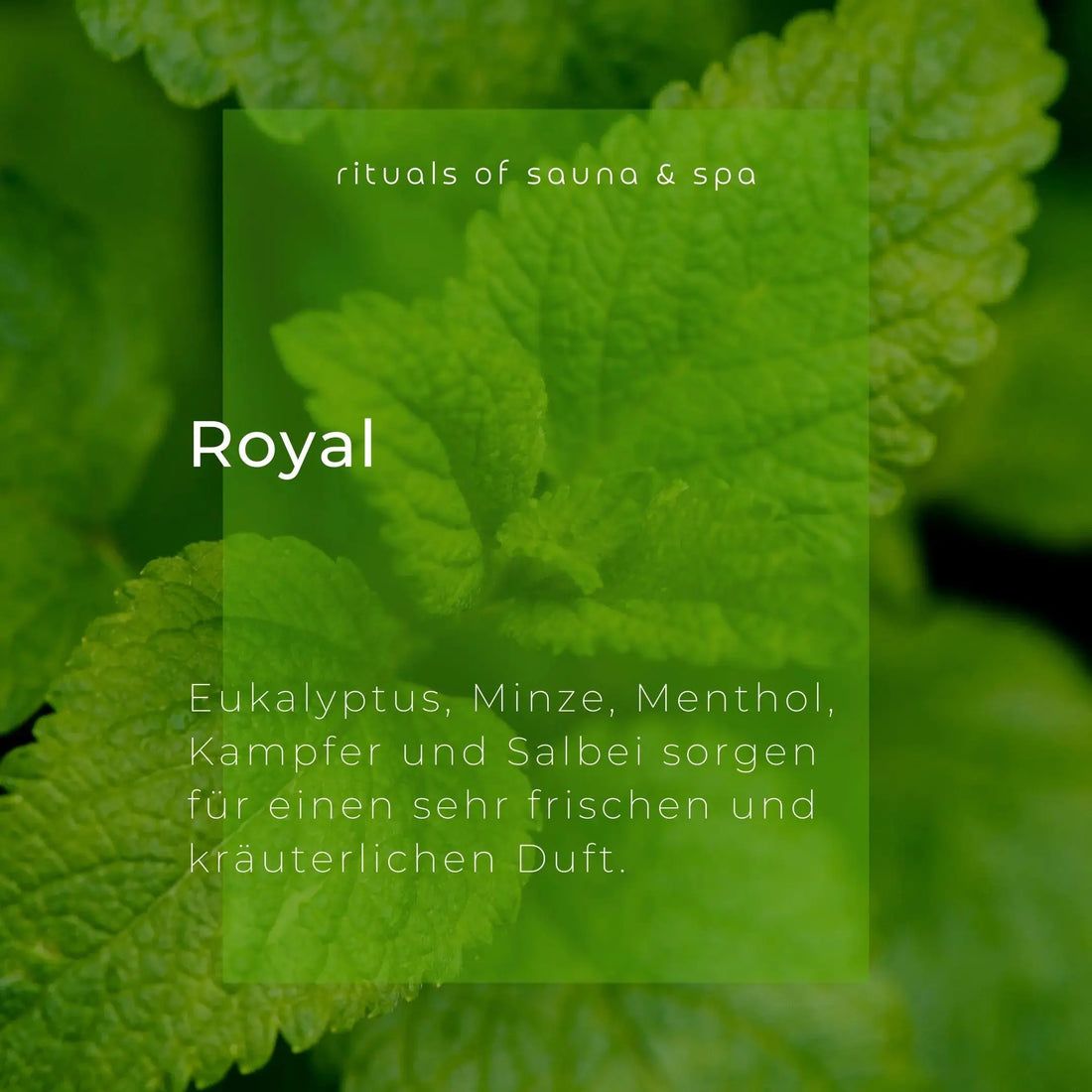 Primo piano di foglie verdi. Testo: Royal. Ingredienti: Eucalipto, Menta, Mentolo, Canfora e Salvia.