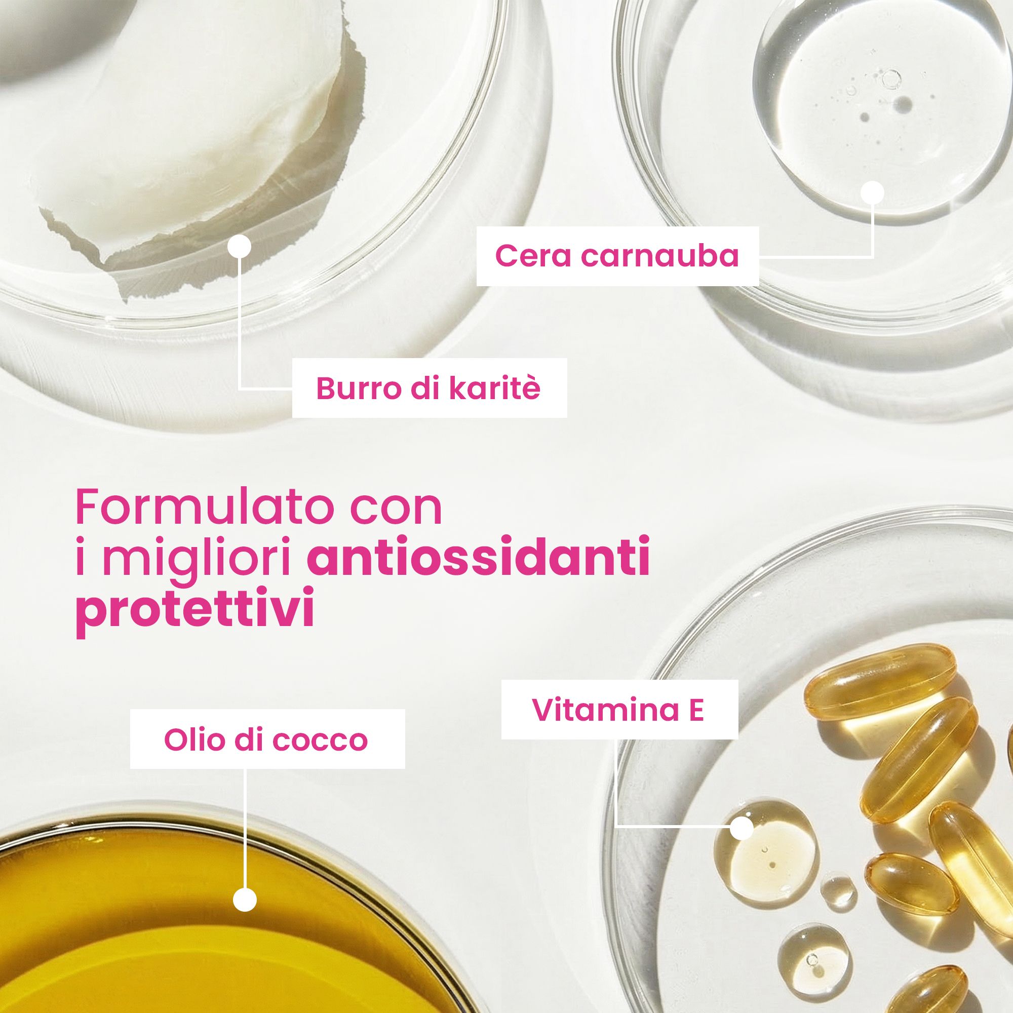 Primo piano degli ingredienti: Cera carnauba, Olio di cocco, Burro di karité, Vitamina E. Su sfondo bianco.