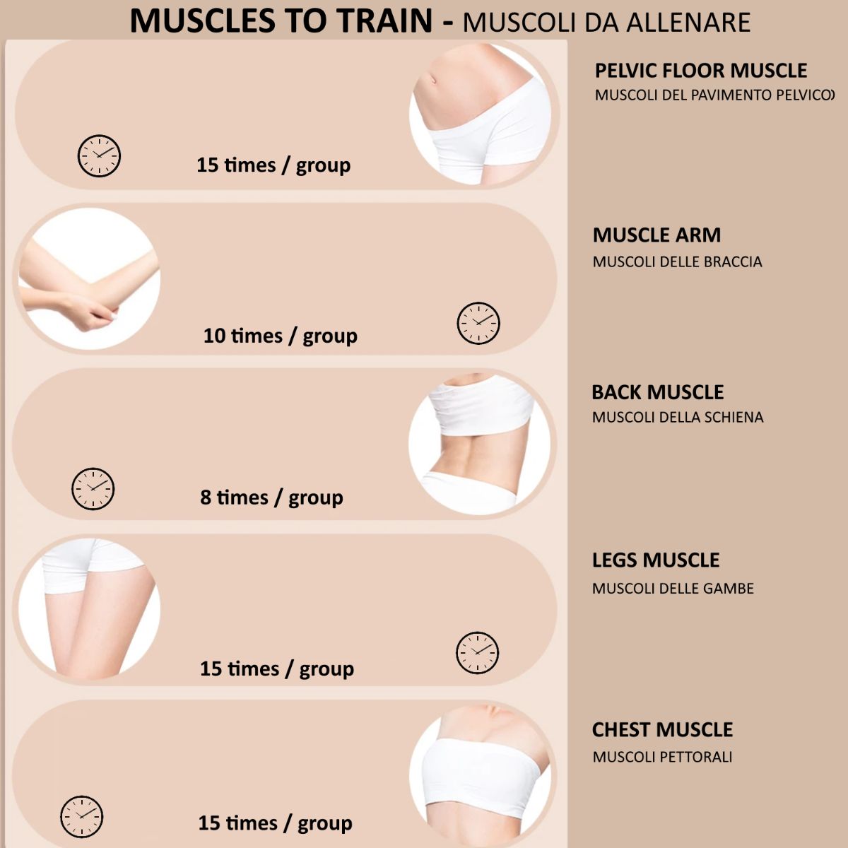 Infografica dei gruppi muscolari. Illustrazioni di parti del corpo e istruzioni di allenamento con ripetizioni e tempo.