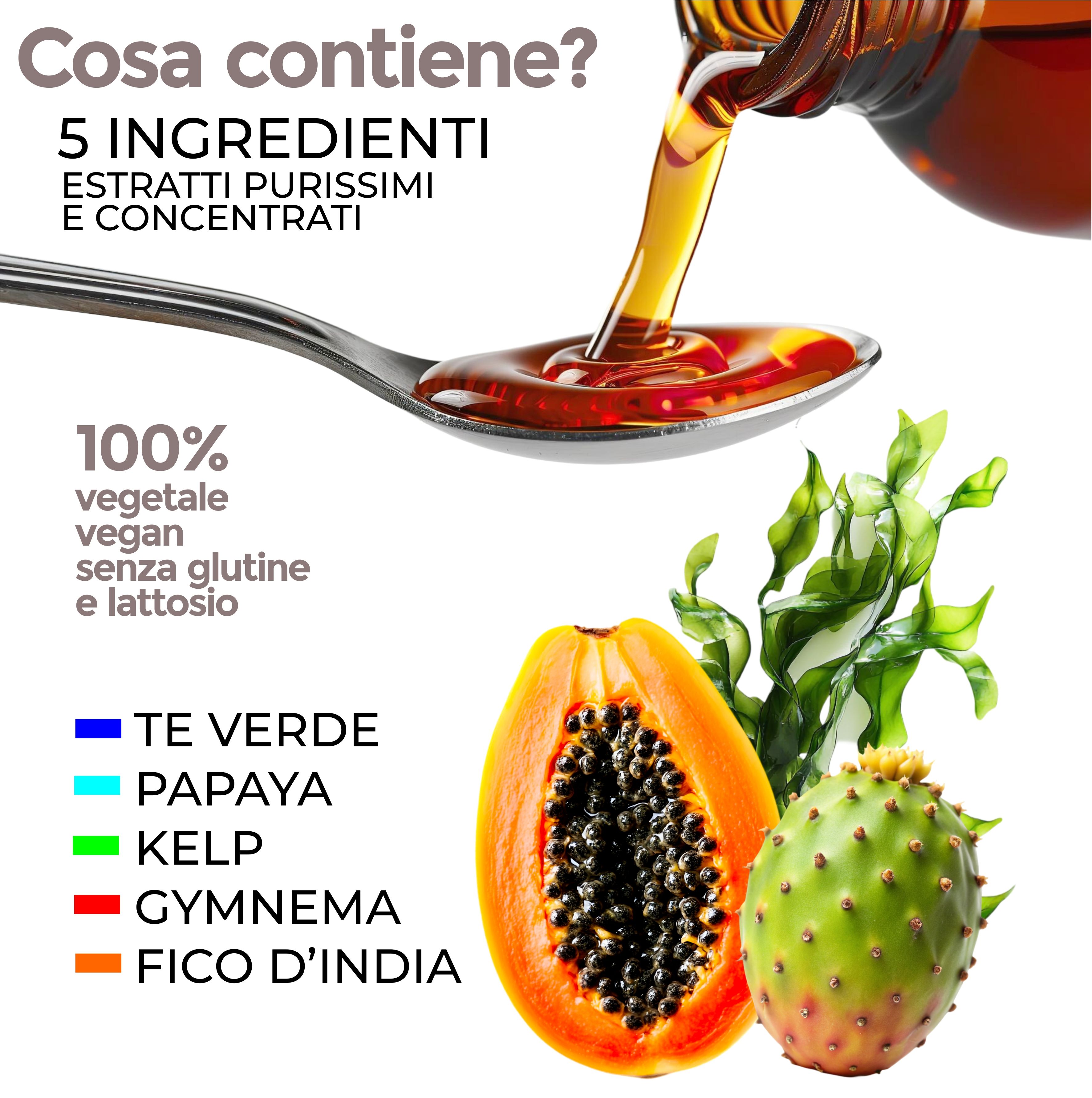 Liquido su cucchiaio. Papaia, fico d'India, tè verde, Gymnema e alga kelp. Testo: 100% vegano, senza glutine e lattosio.