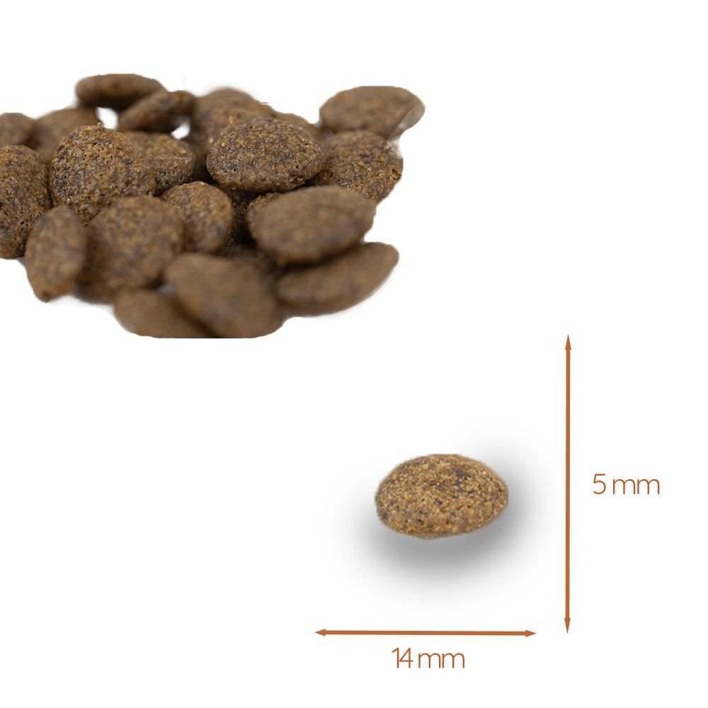 Primo piano di crocchette. Dimensioni: 14mm x 5mm.