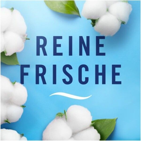 Febreze deodorante per bagno, controllo e prevenzione continui degli odori, freschezza pura 5 pezzi