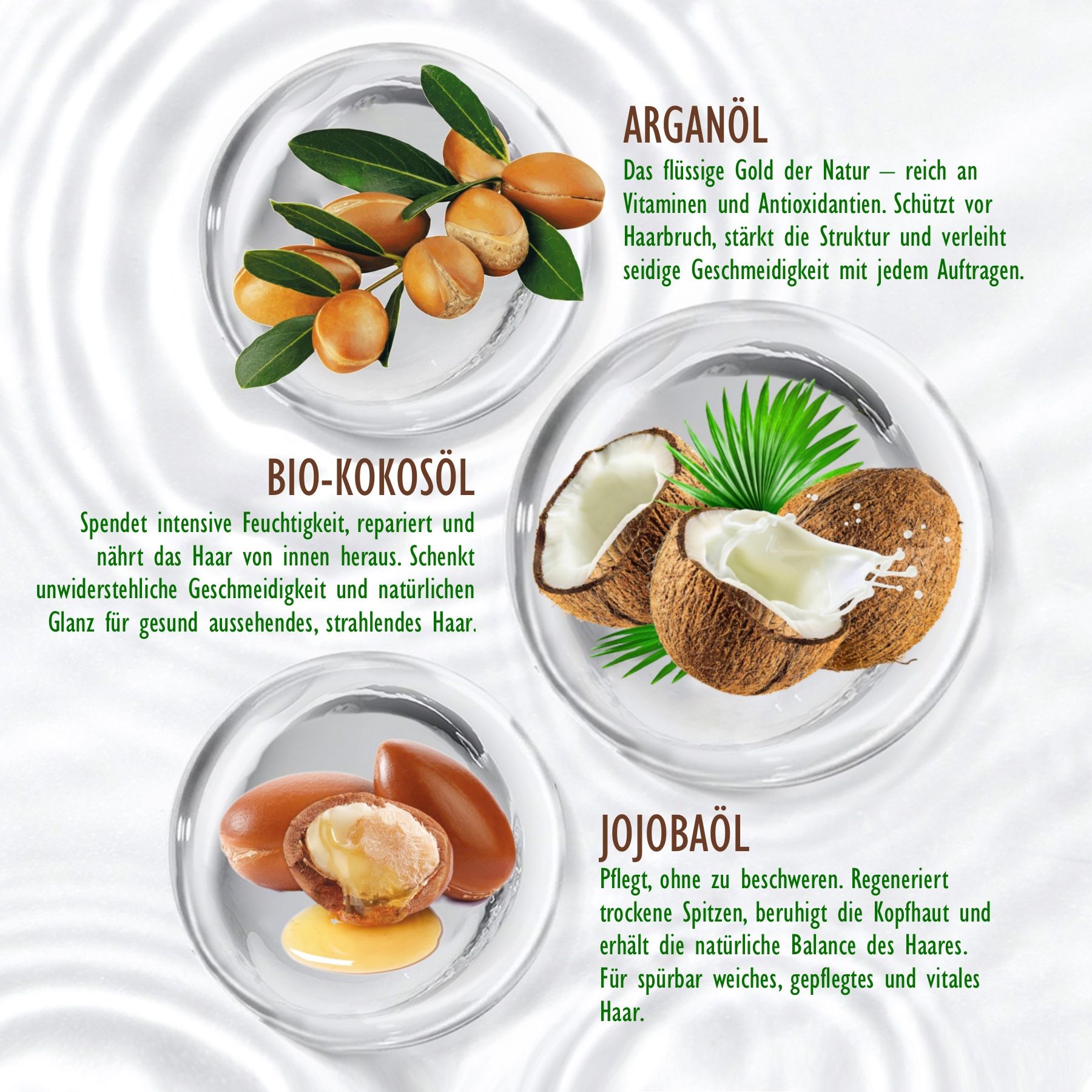 Tre ciotole con ingredienti: Olio di argan, olio di cocco bio, olio di jojoba. Testo: L'oro liquido della natura. Per capelli sani.