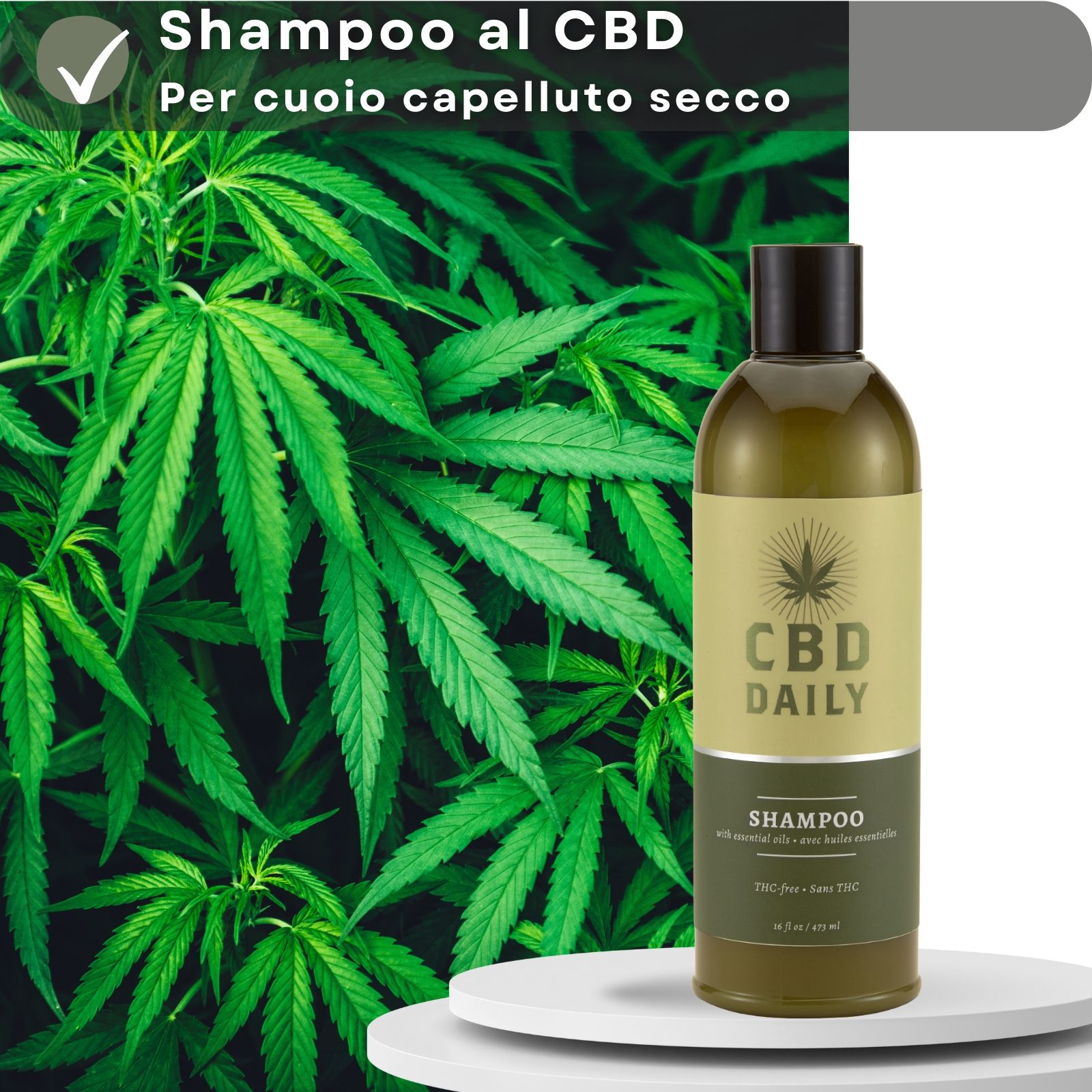 Flacone di shampoo CBD. Testo: CBD DAILY SHAMPOO. Sfondo: erbe e ciotola di legno. Testo: Oli essenziali e argan.