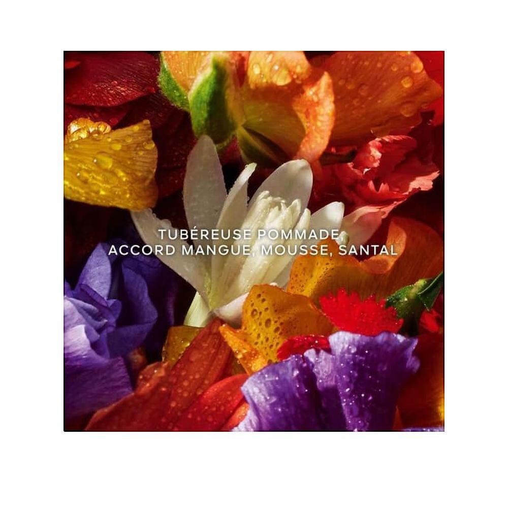 Primo piano di petali di fiori colorati. Testo: Tubéreuse Pommade, Accord Mangue Mousse, Santal.