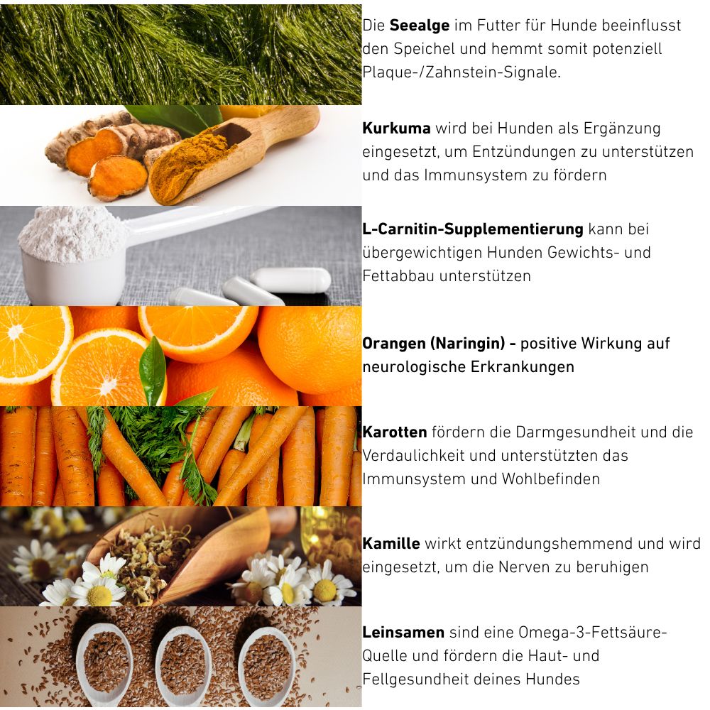 VetLine Crocchette con peptidi per cani - ipoallergeniche