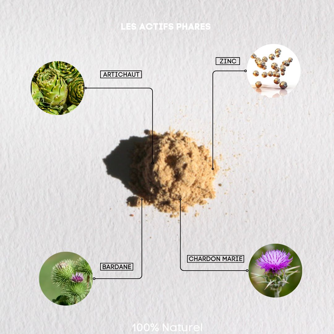 Primo piano sugli ingredienti. Carciofo, Zinco, Bardana, Cardo Mariano. Testo: Les Actifs Phares, 100% Naturel.