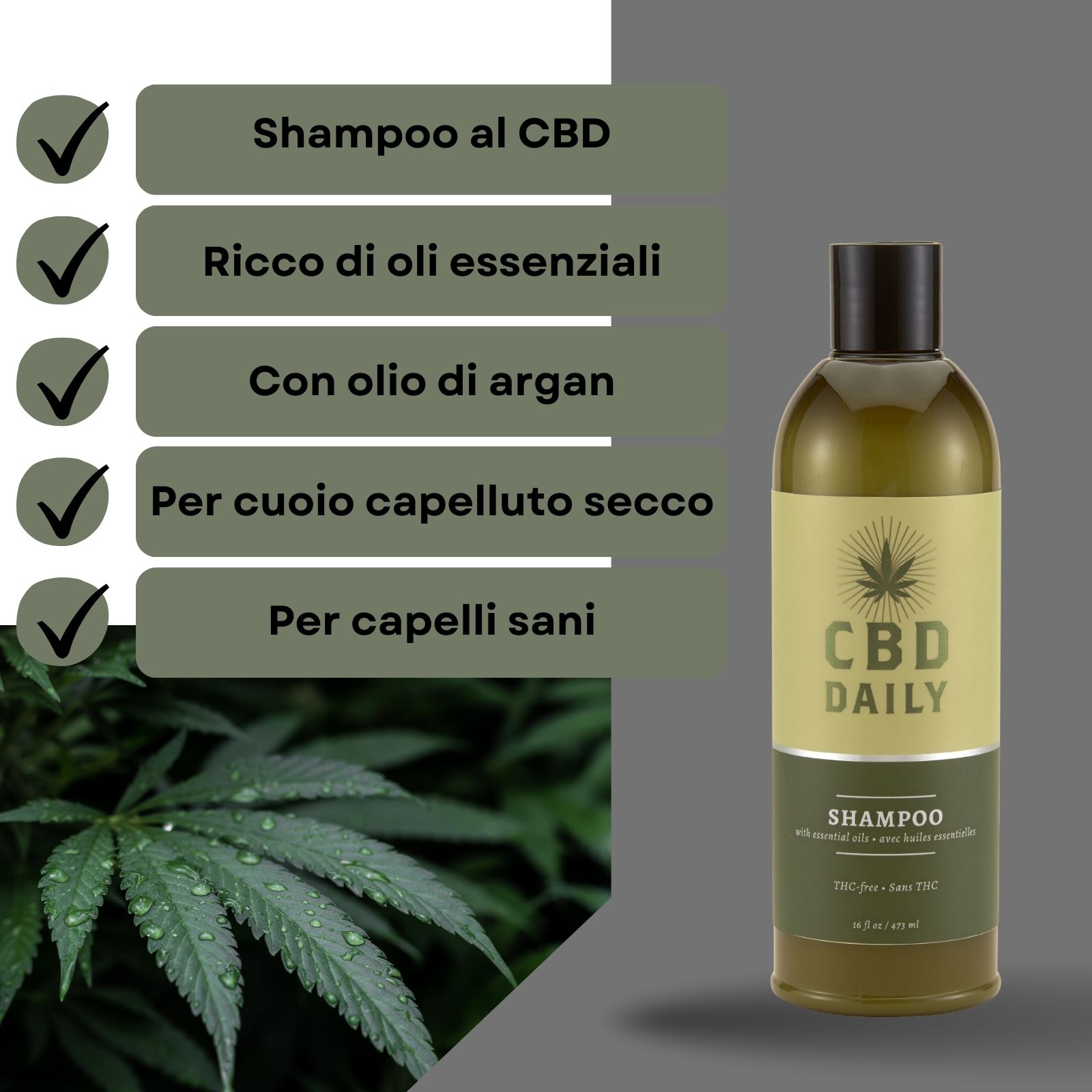 Flacone di shampoo CBD. Testo: CBD DAILY SHAMPOO. Sfondo: foglie di cannabis. Testo: Shampoo al CBD, per cuoio capelluto secco.