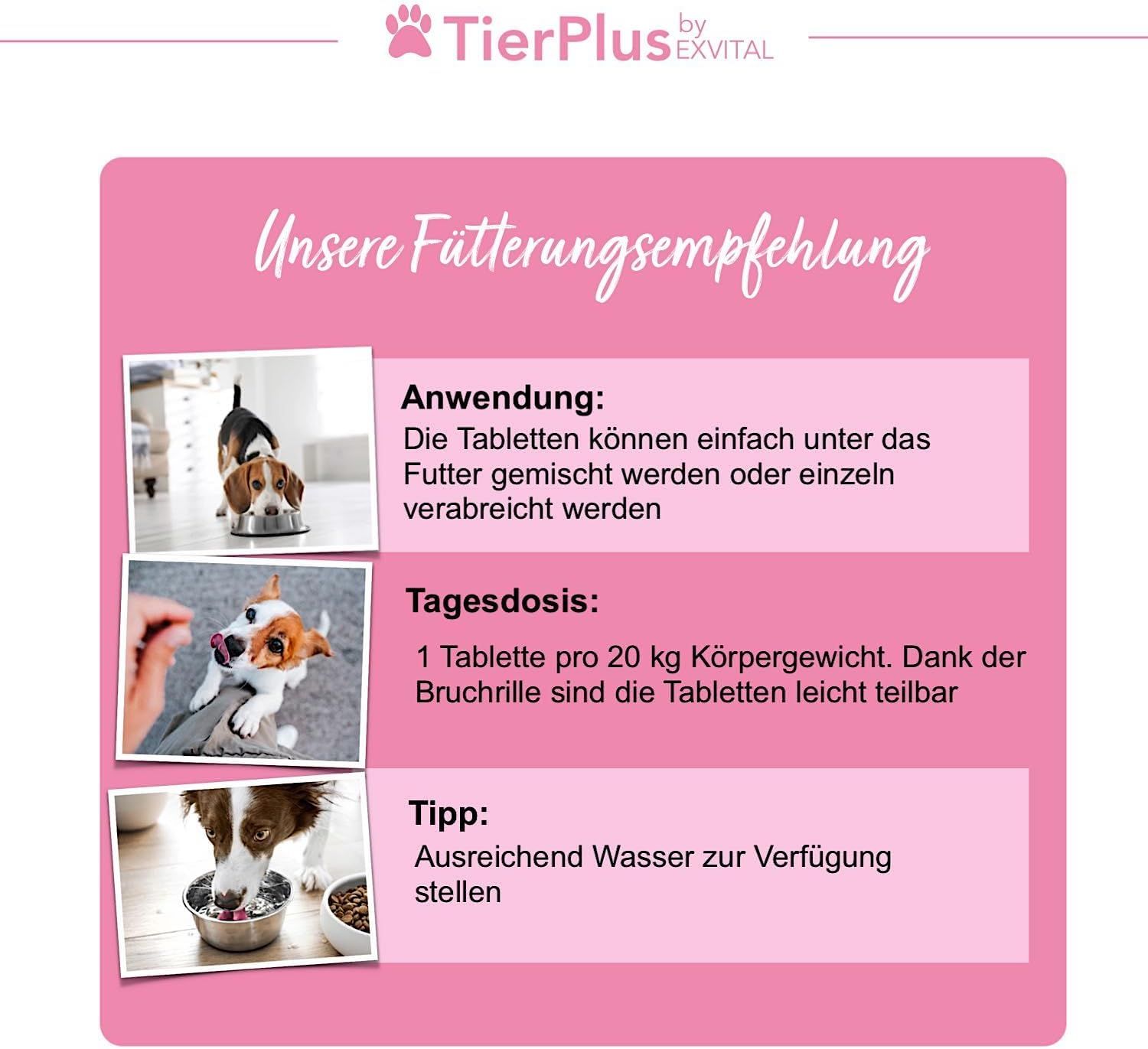 Tre immagini sulla raccomandazione di alimentazione delle compresse TierPlus Haarpracht per cani.