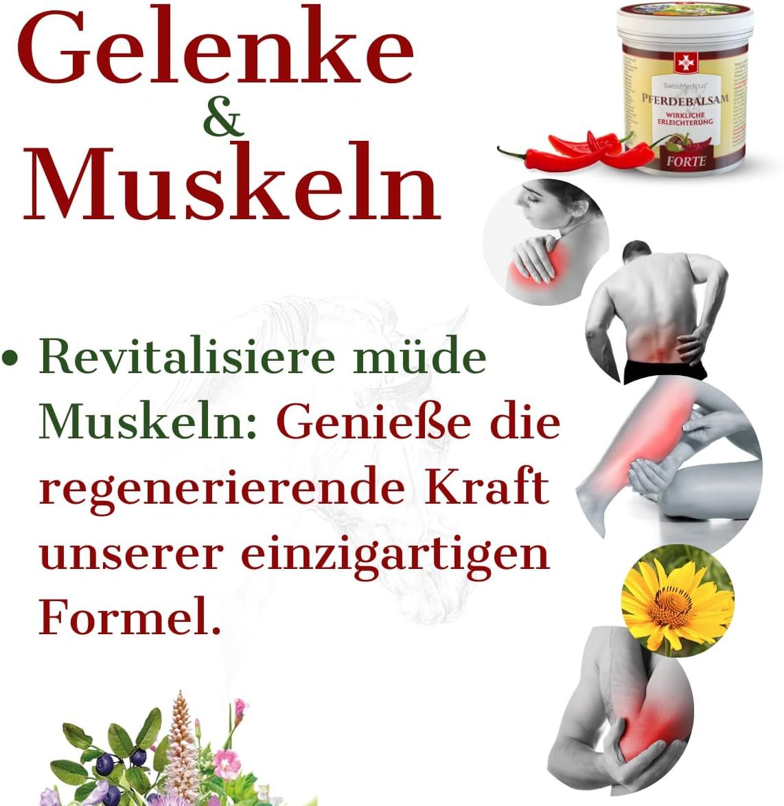 Immagine pubblicitaria con prodotto e illustrazioni. Prodotto: SwissMedicus Pferdebalsam FORTE. Testo: Articolazioni & Muscoli.