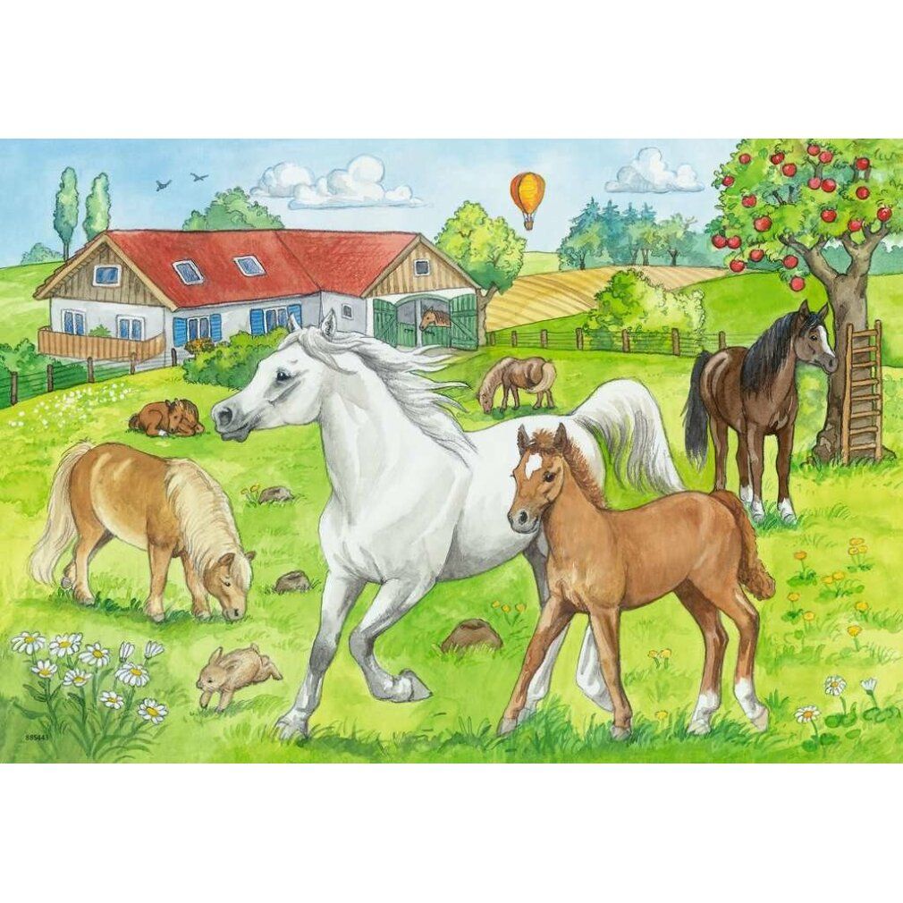 Motivo puzzle: cavalli in un prato con una casa sullo sfondo. Un cavallo bianco e un puledro sono al centro. Altri cavalli pascolano.