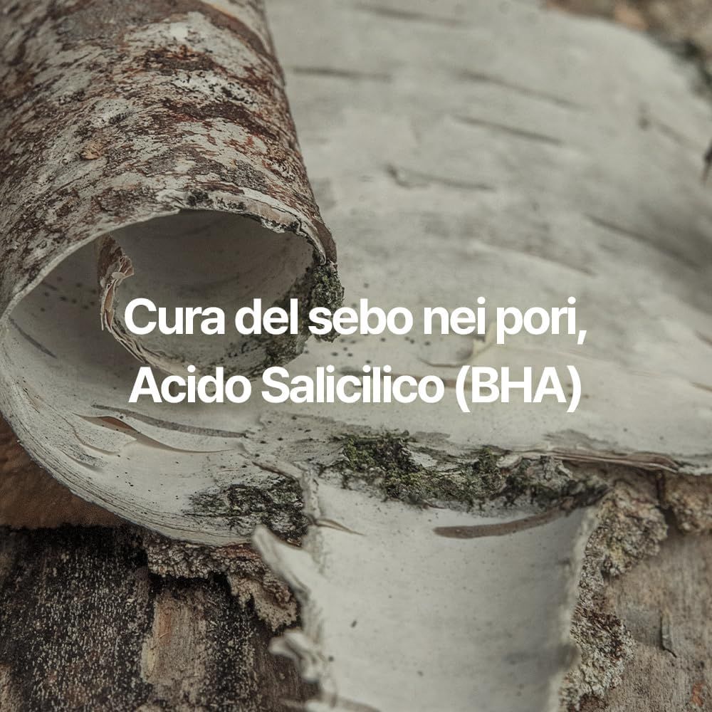 Primo piano della corteccia di betulla. Testo: Cura del sebo nei pori, Acido Salicilico (BHA).