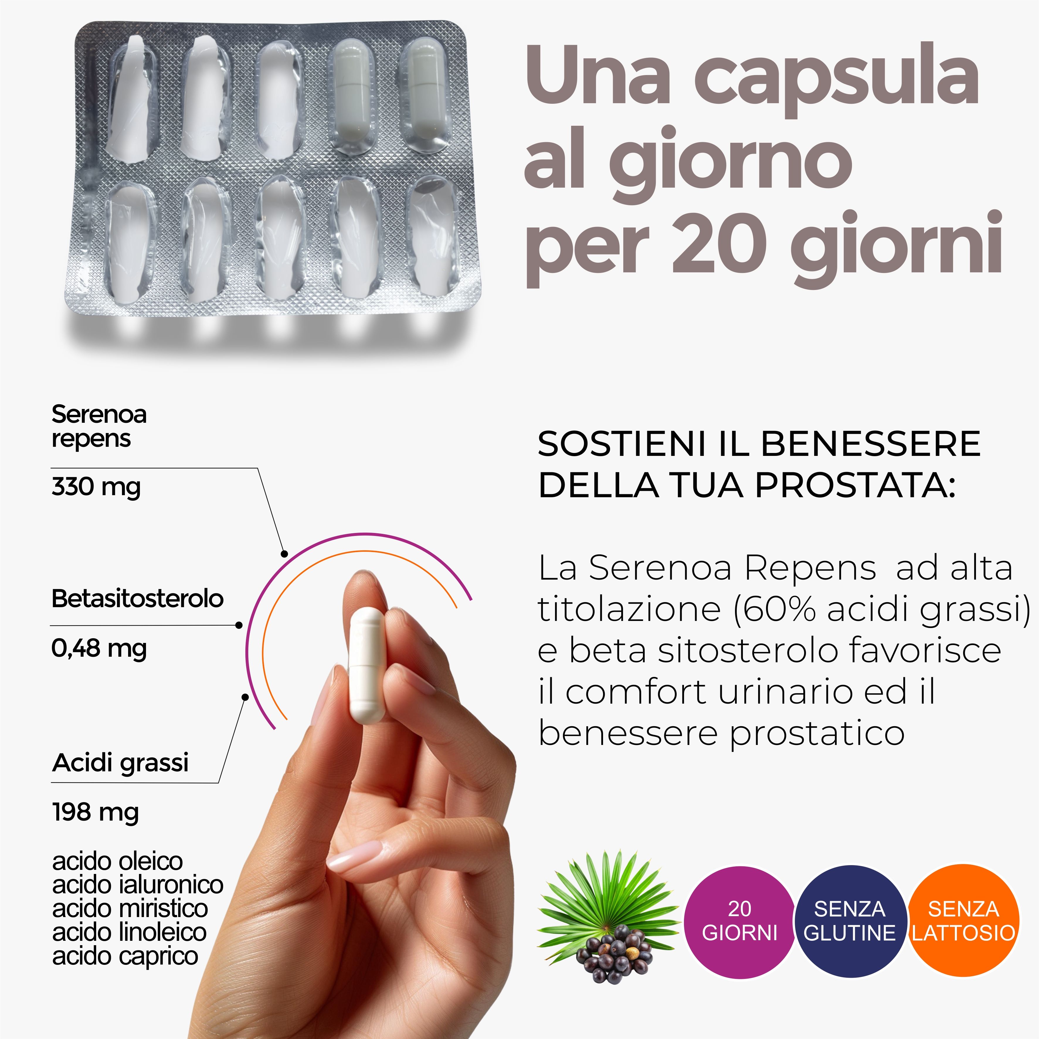 Prostata e Capelli – Serenoa Repens Saw Palmetto 320 mg -Prostanidine 20
