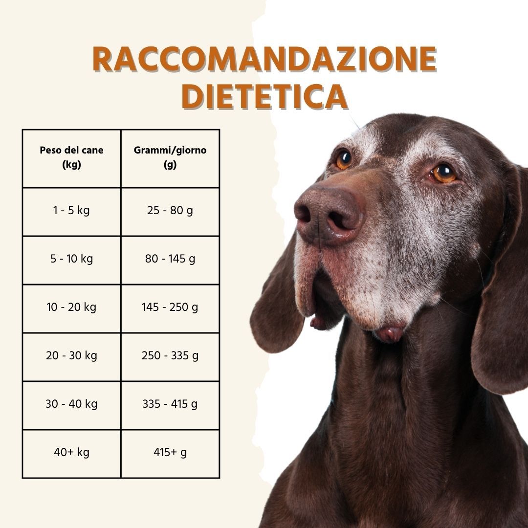 Tabella delle raccomandazioni alimentari con peso e grammi al giorno. Cane sullo sfondo.