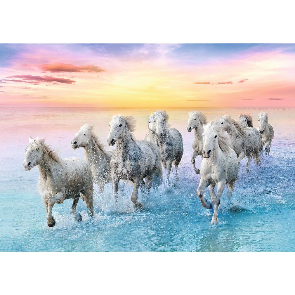 Puzzle 500 pezzi Cavalli al galoppo