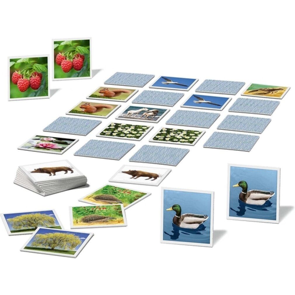memory® Natura