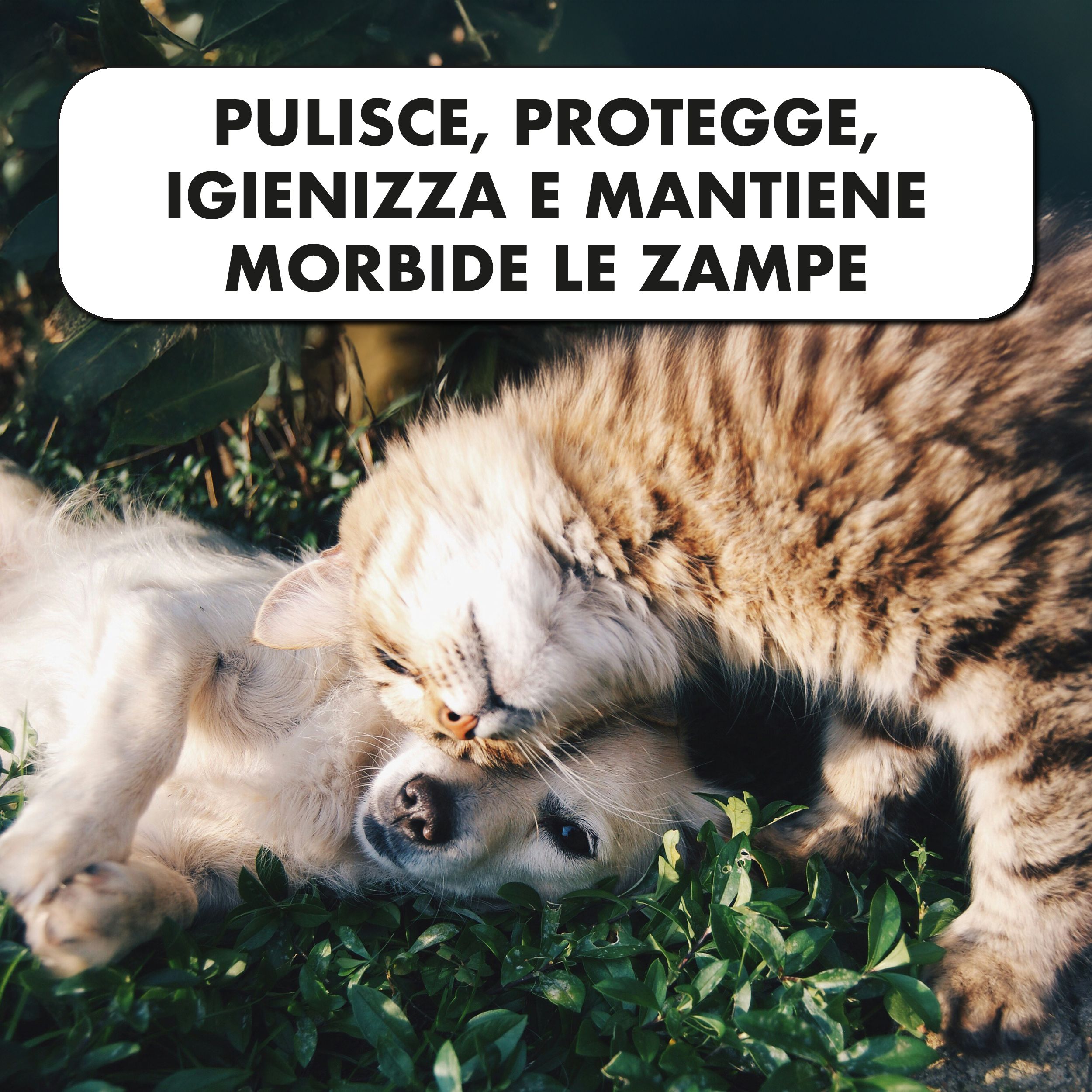 Gatto e cane sull'erba. Testo: Pulisce, protegge, igienizza e mantiene morbide le zampe.