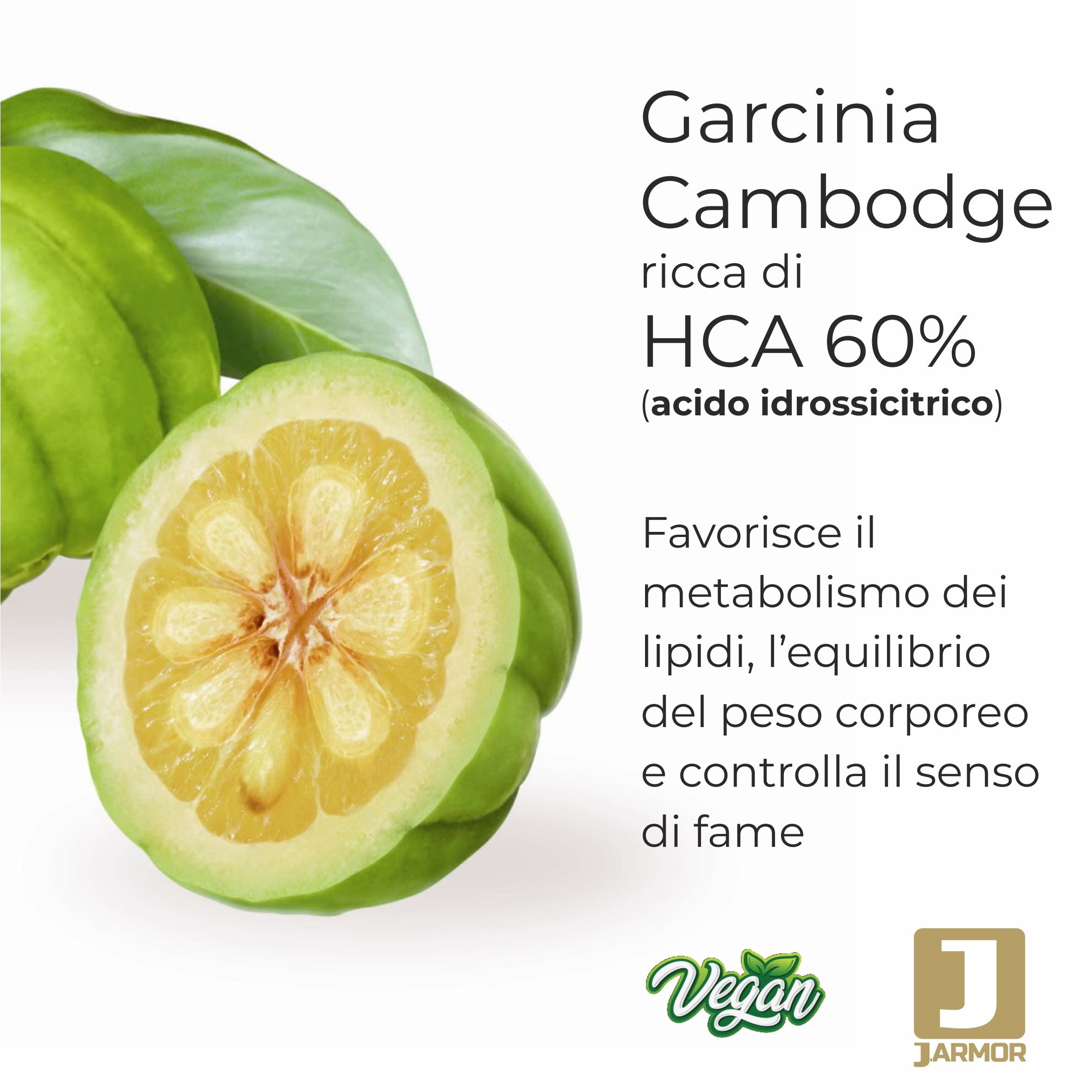 Garcinia Cambogia tagliata. Testo: Garcinia Cambodge, HCA 60%. Sigillo vegano, logo J.Armor.