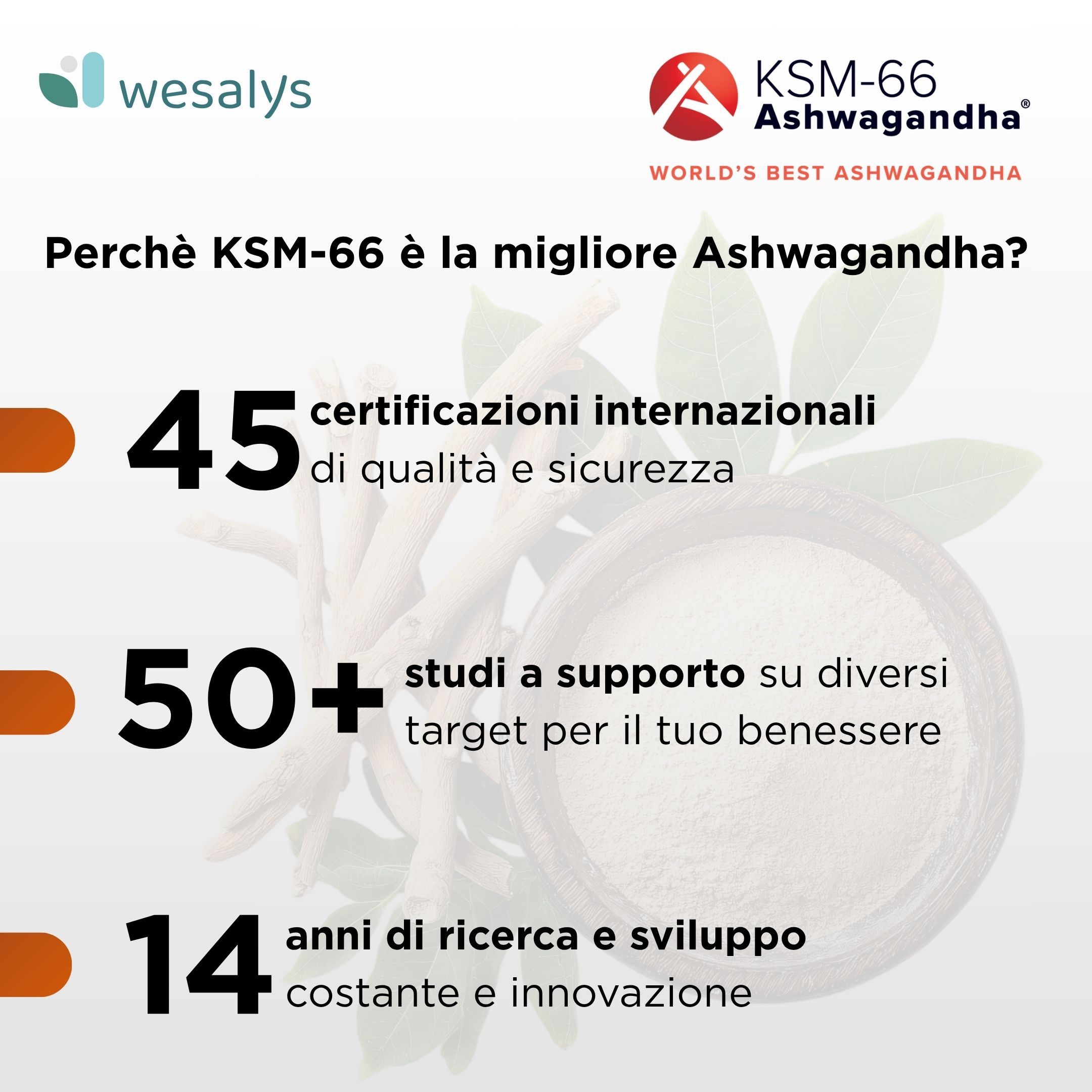 Ashwagandha Bio KSM-66® per il Benessere Fisico e Mentale