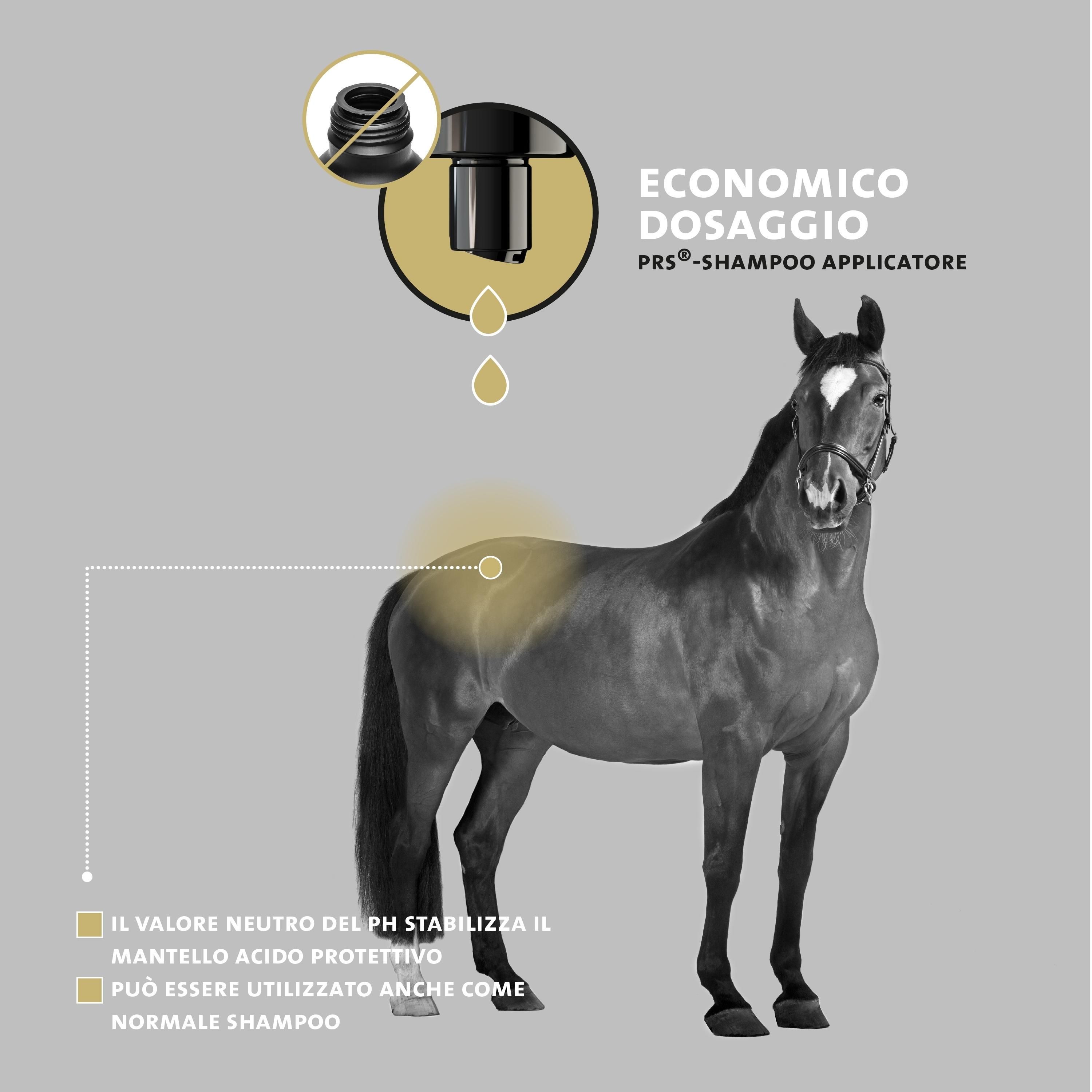 Cavallo con aree evidenziate in giallo. Testo: Dosaggio economico tramite applicatore PRS-Shampoo.