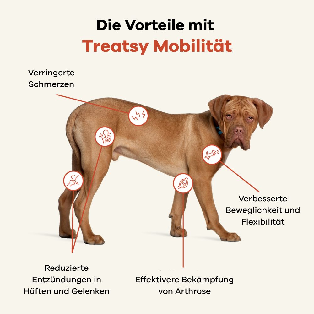 Cane con frecce che indicano aree del corpo. Testo: Riduzione infiammazione, dolori, artrosi, mobilità.